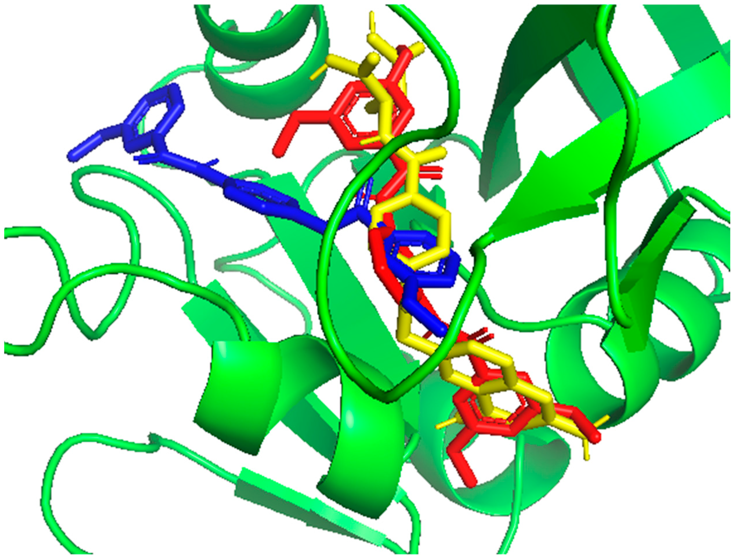 Biomedicines 12 01079 g008