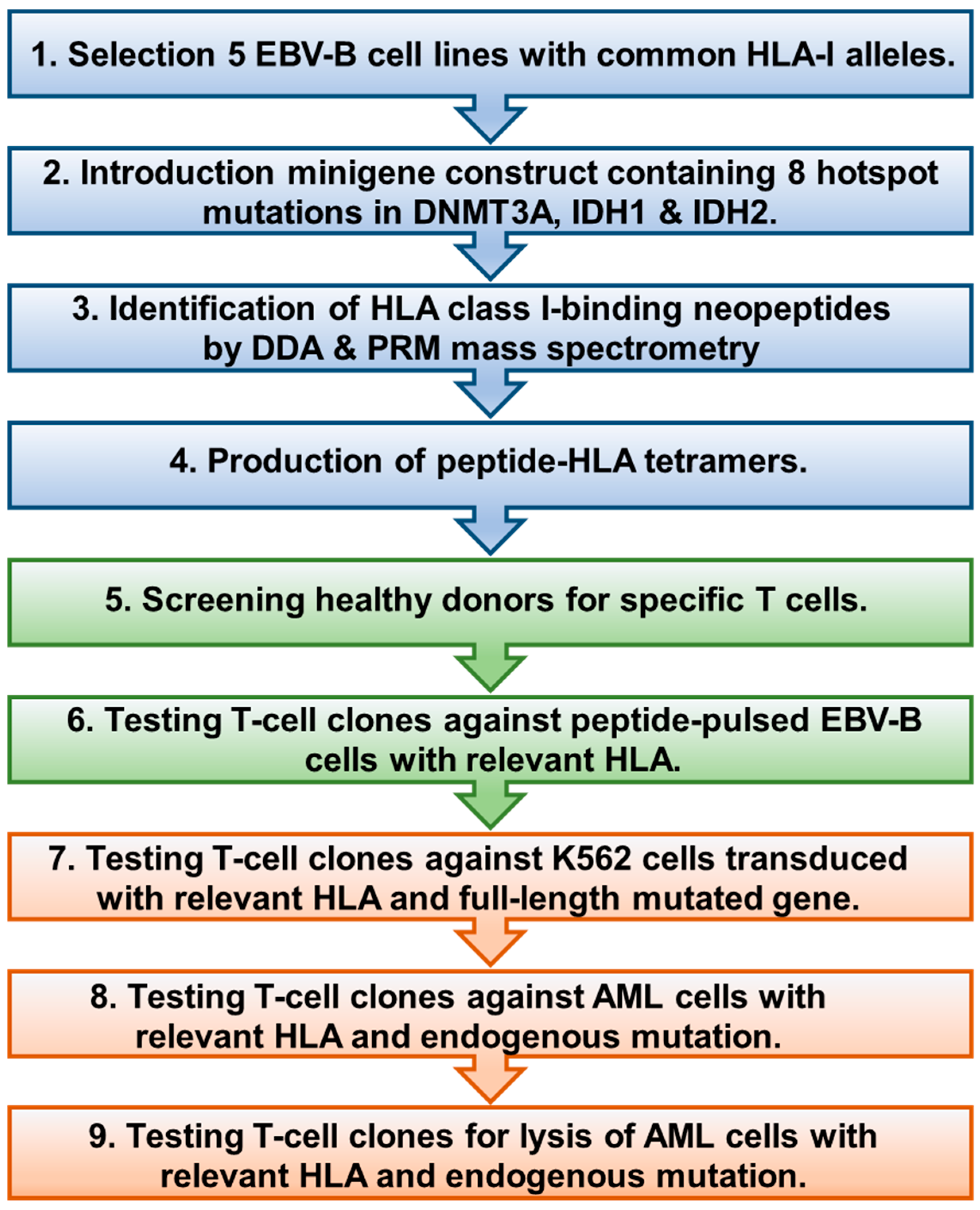 Biomedicines 12 01086 g001 Biomedicines 12 01086 g001