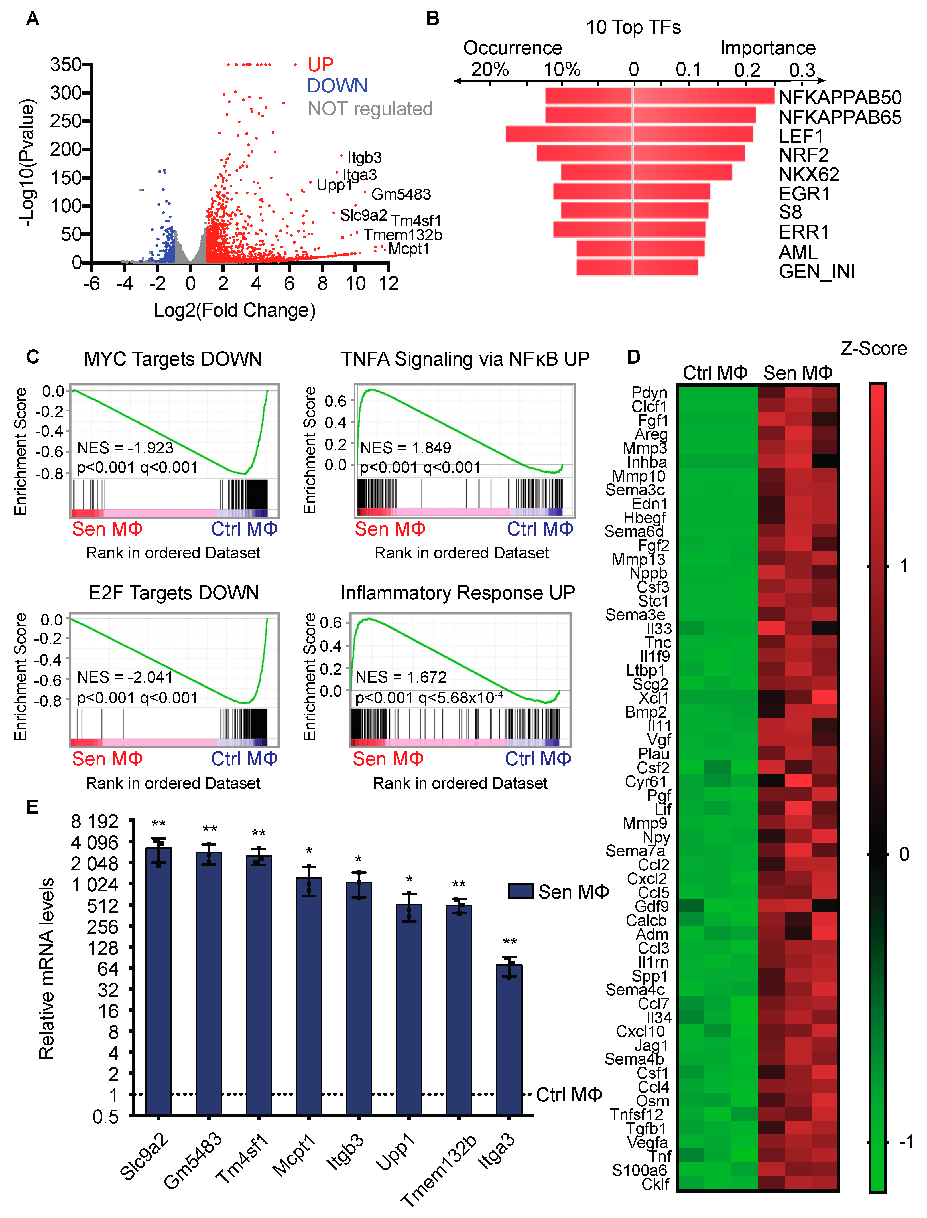 Biomedicines 12 01089 g002