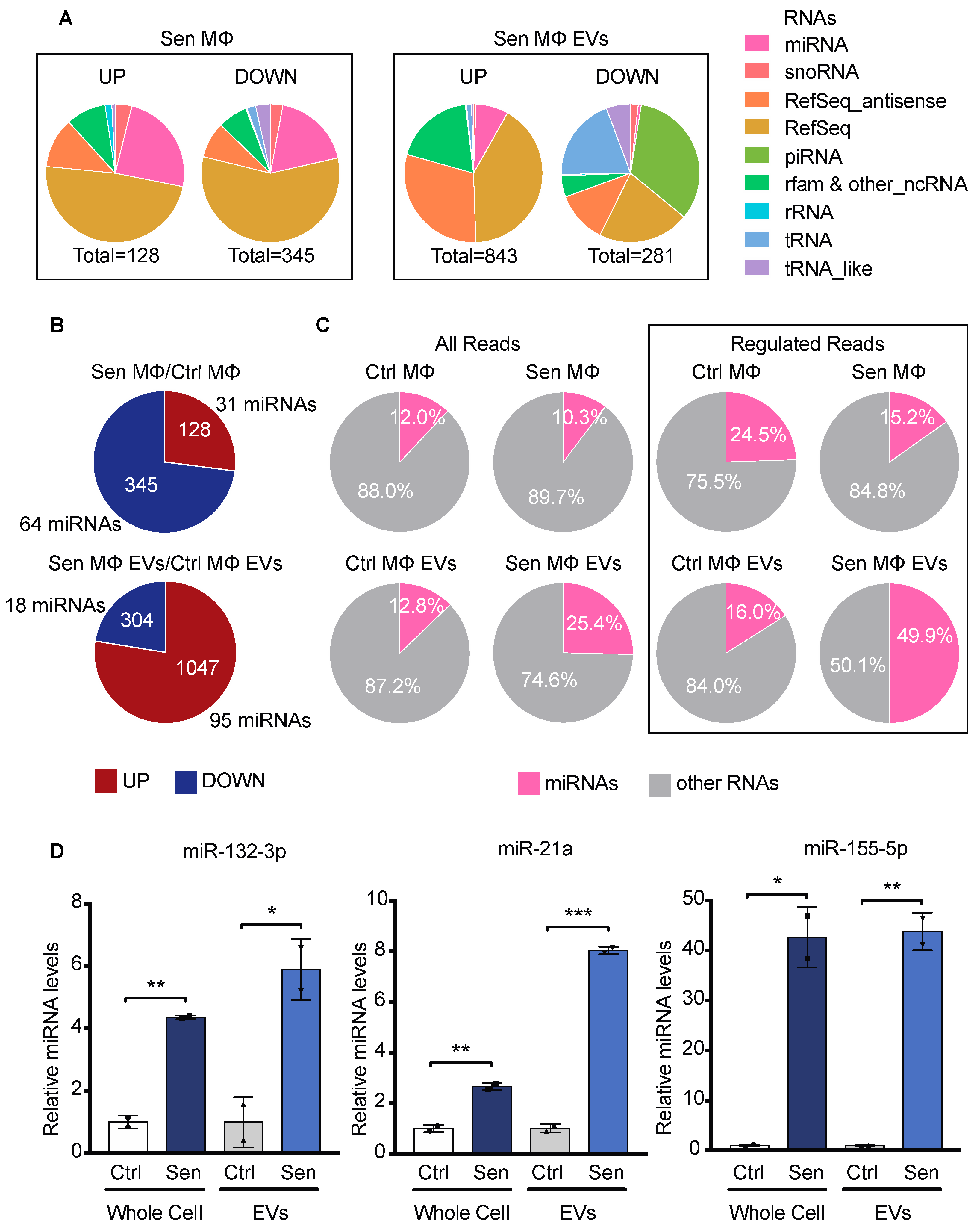 Biomedicines 12 01089 g004