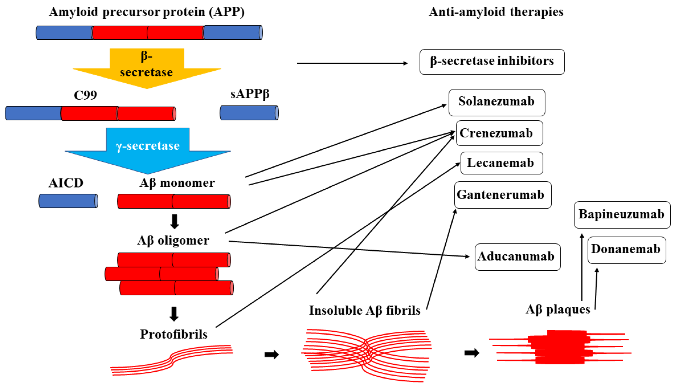 Biomedicines 12 01096 g001