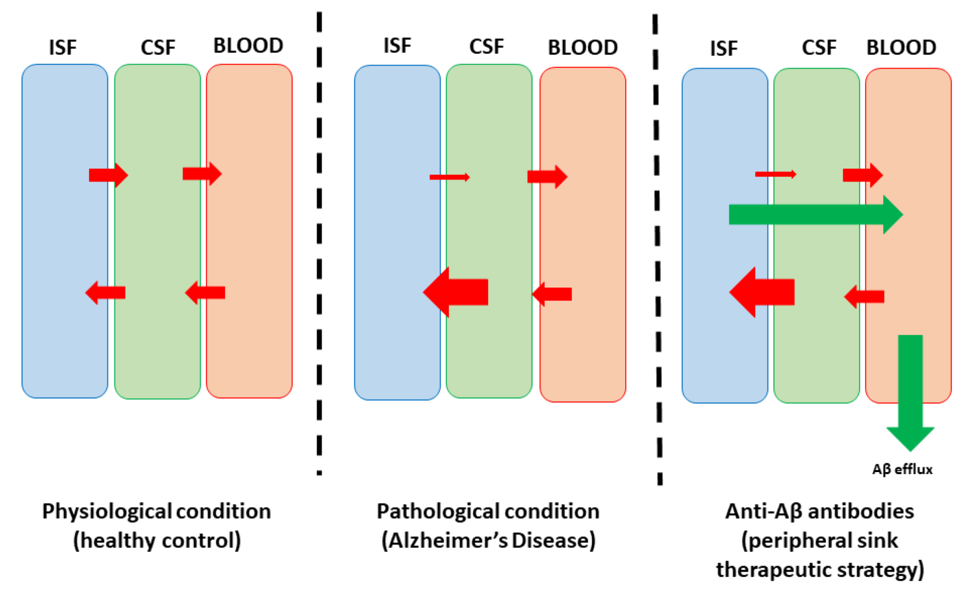 Biomedicines 12 01096 g002