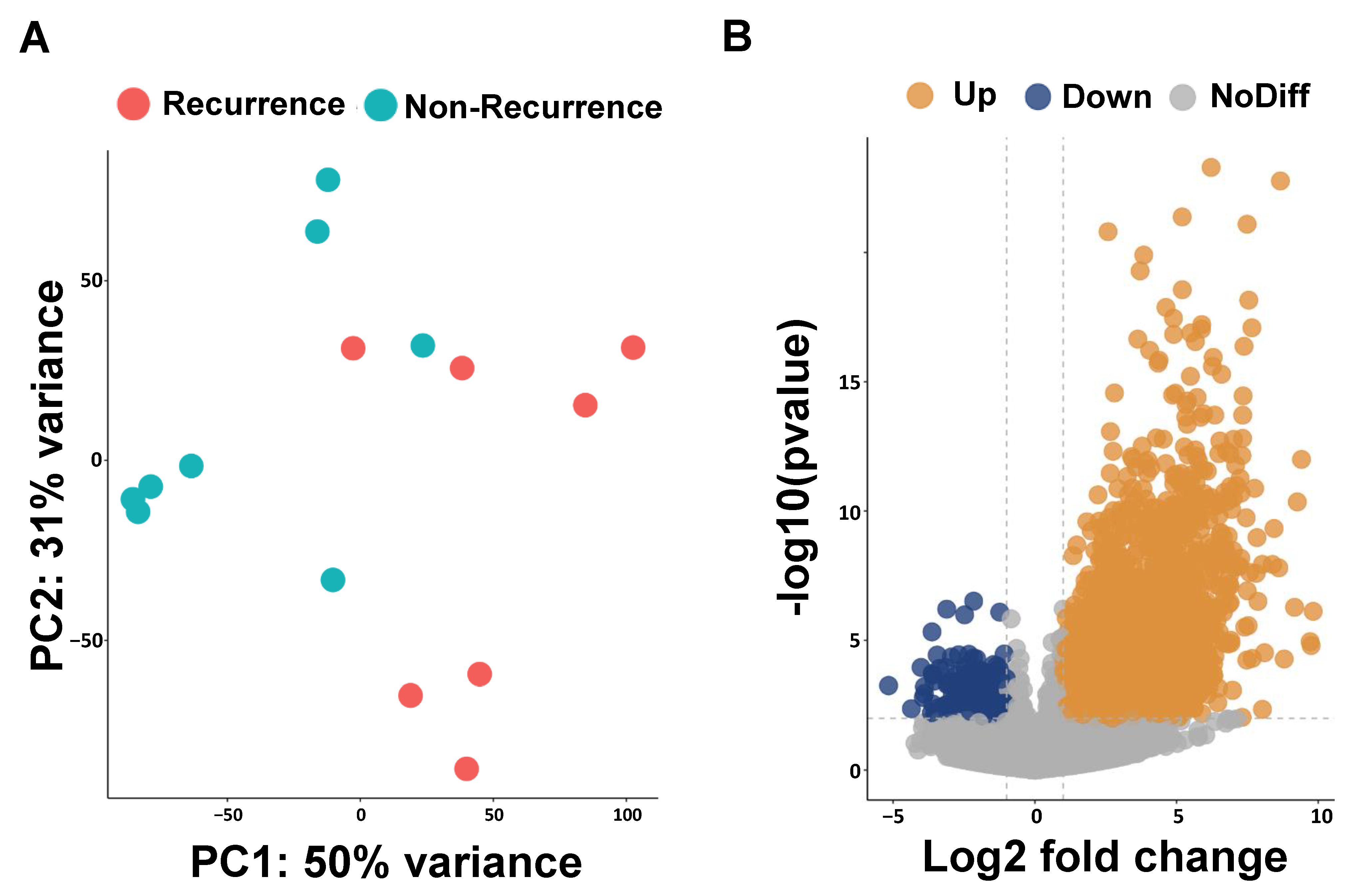 Biomedicines 12 01101 g001