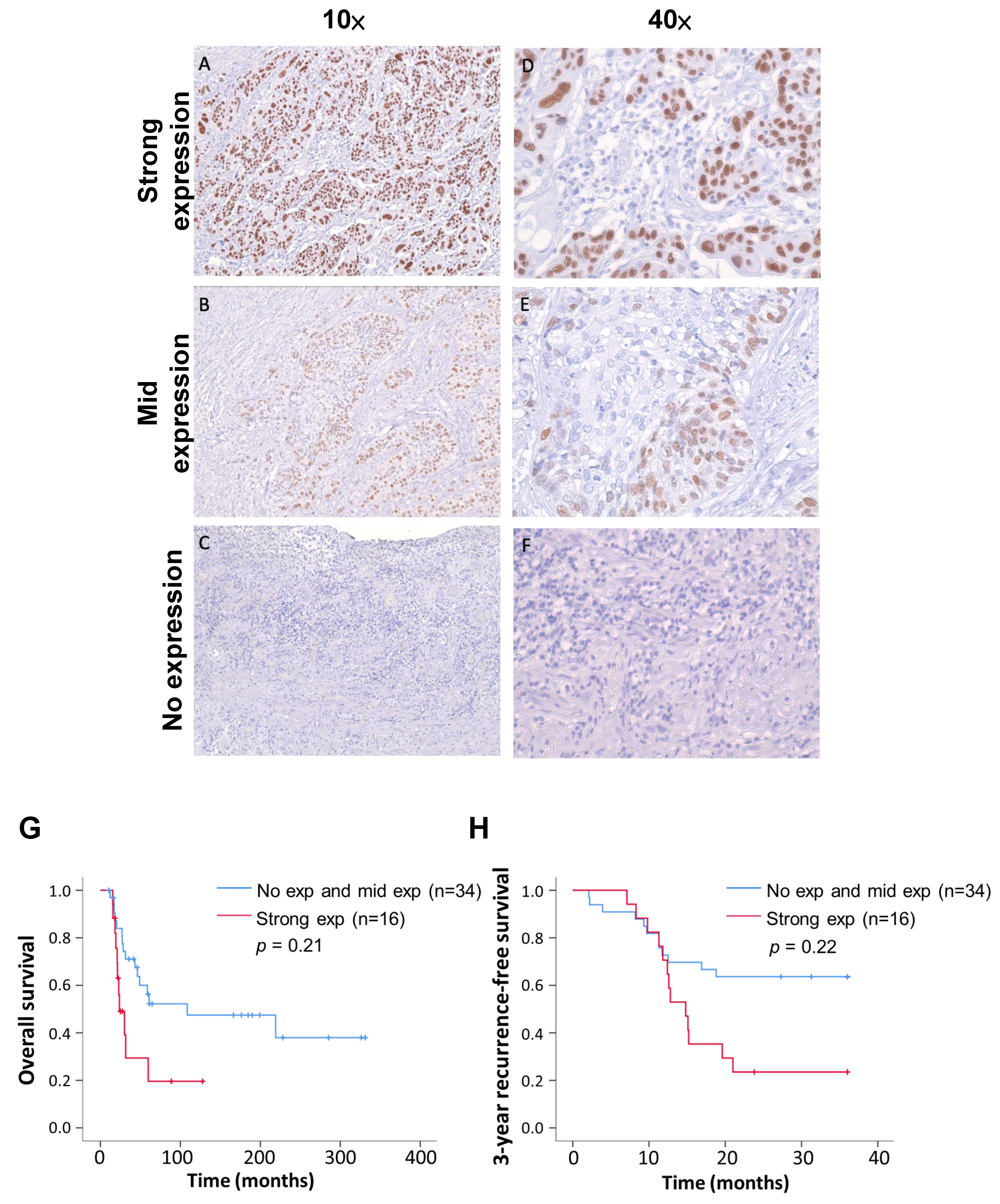 Biomedicines 12 01101 g003