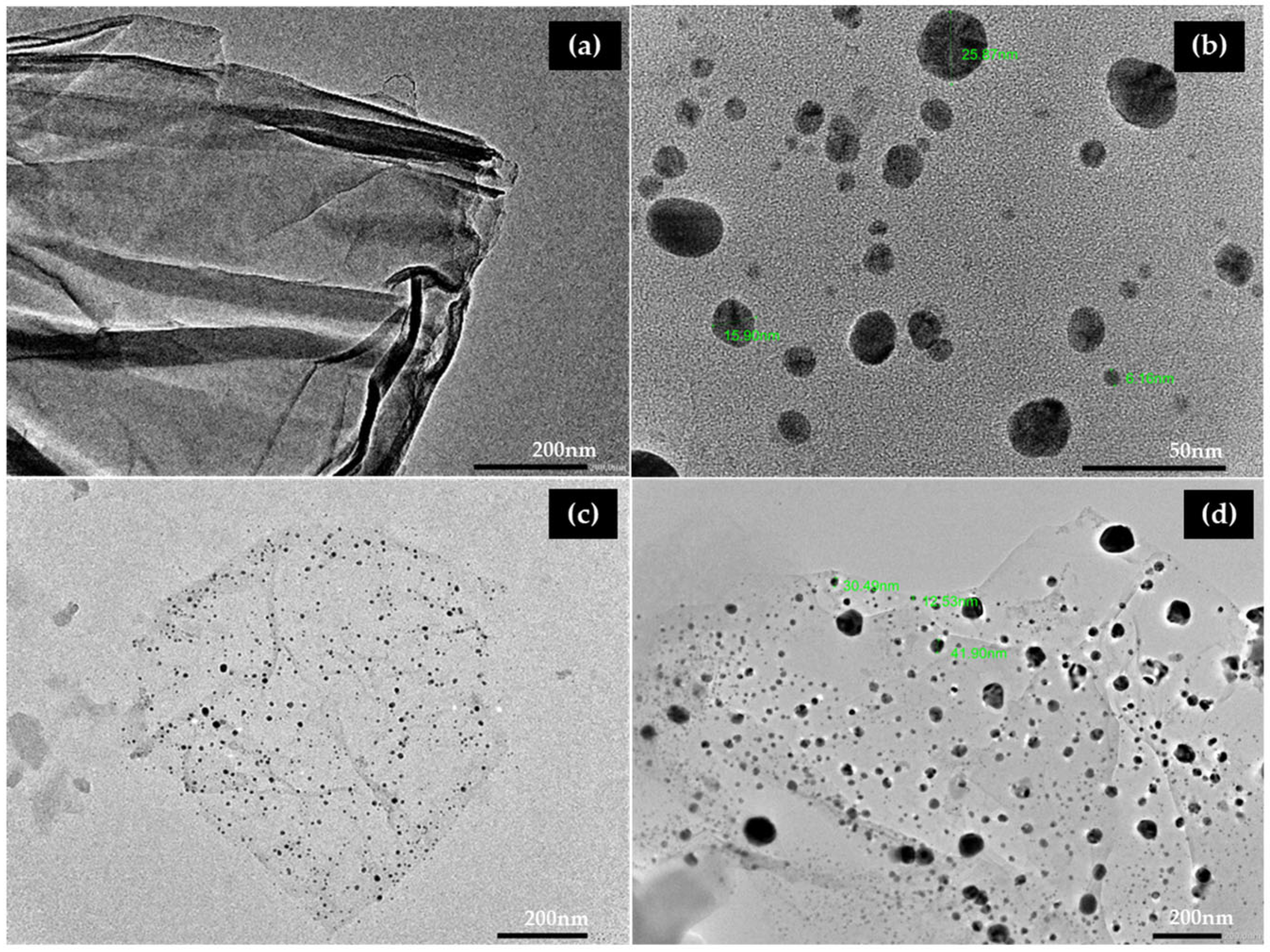 Biomedicines 12 01104 g005