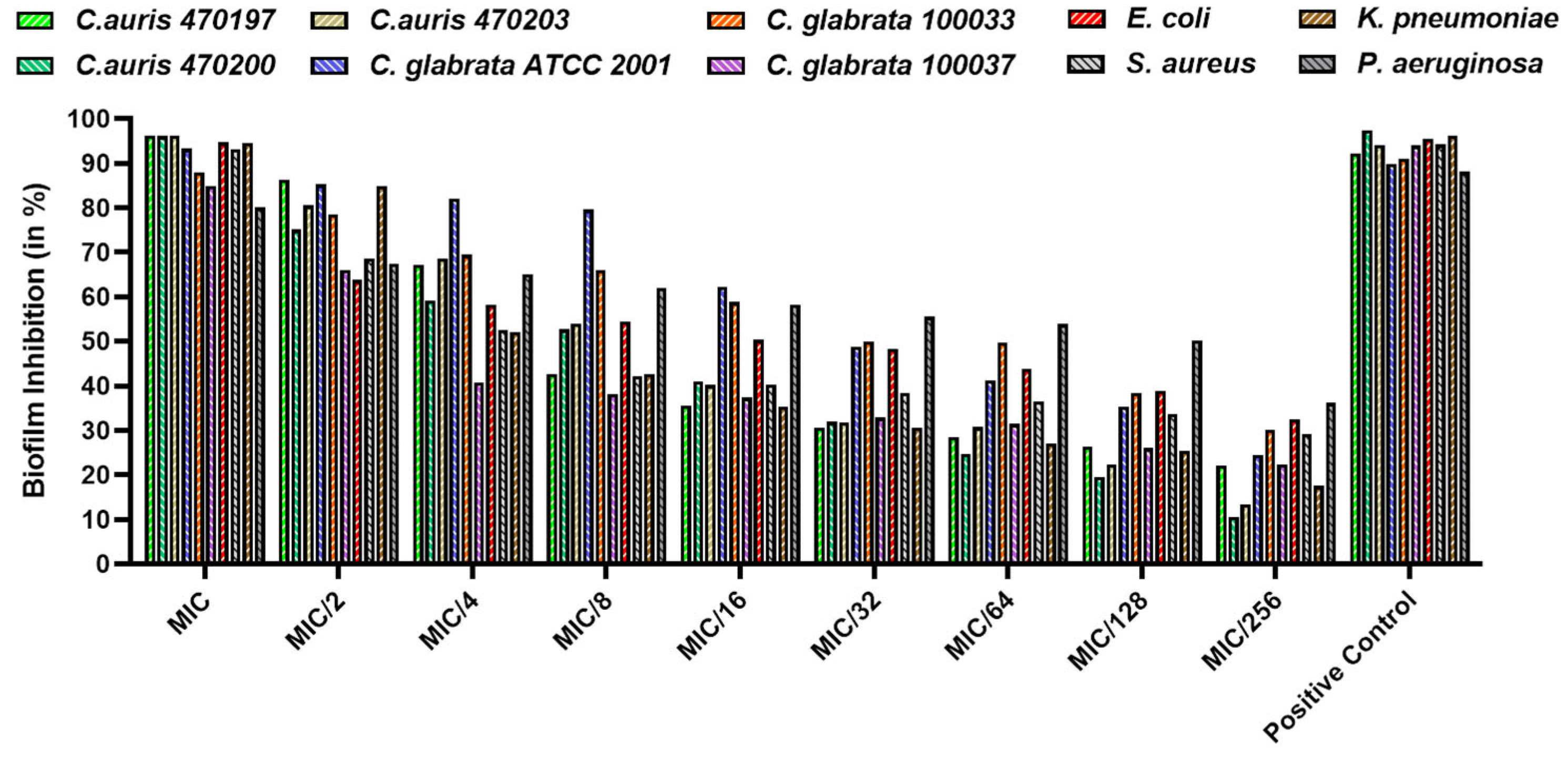 Biomedicines 12 01104 g008
