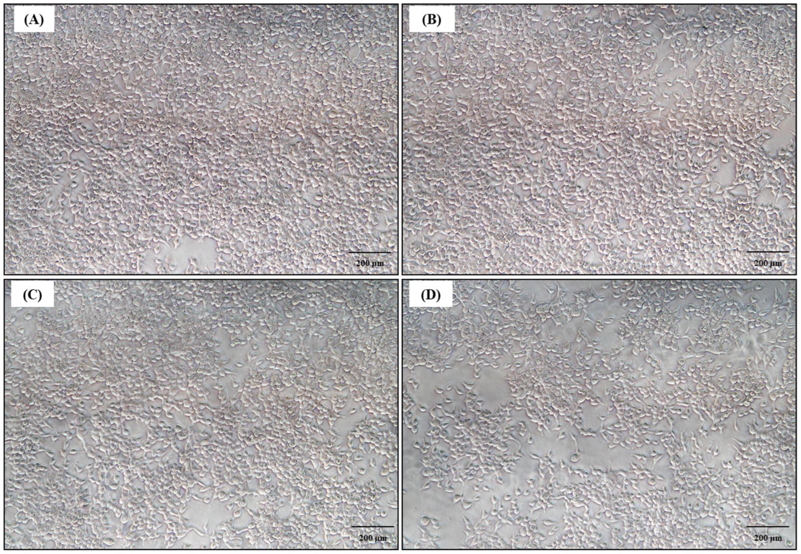 Biomedicines 12 01104 g010