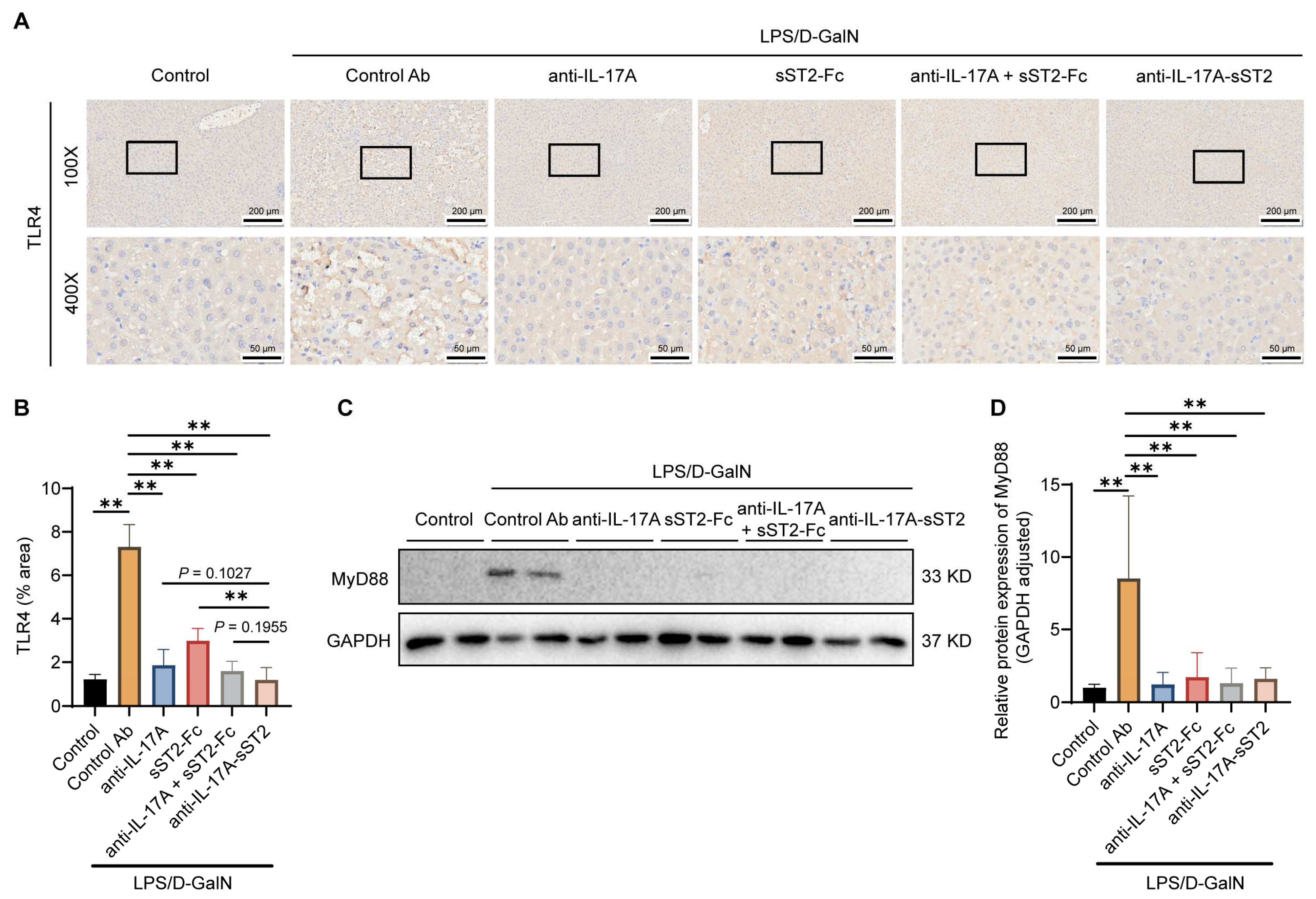Biomedicines 12 01118 g005