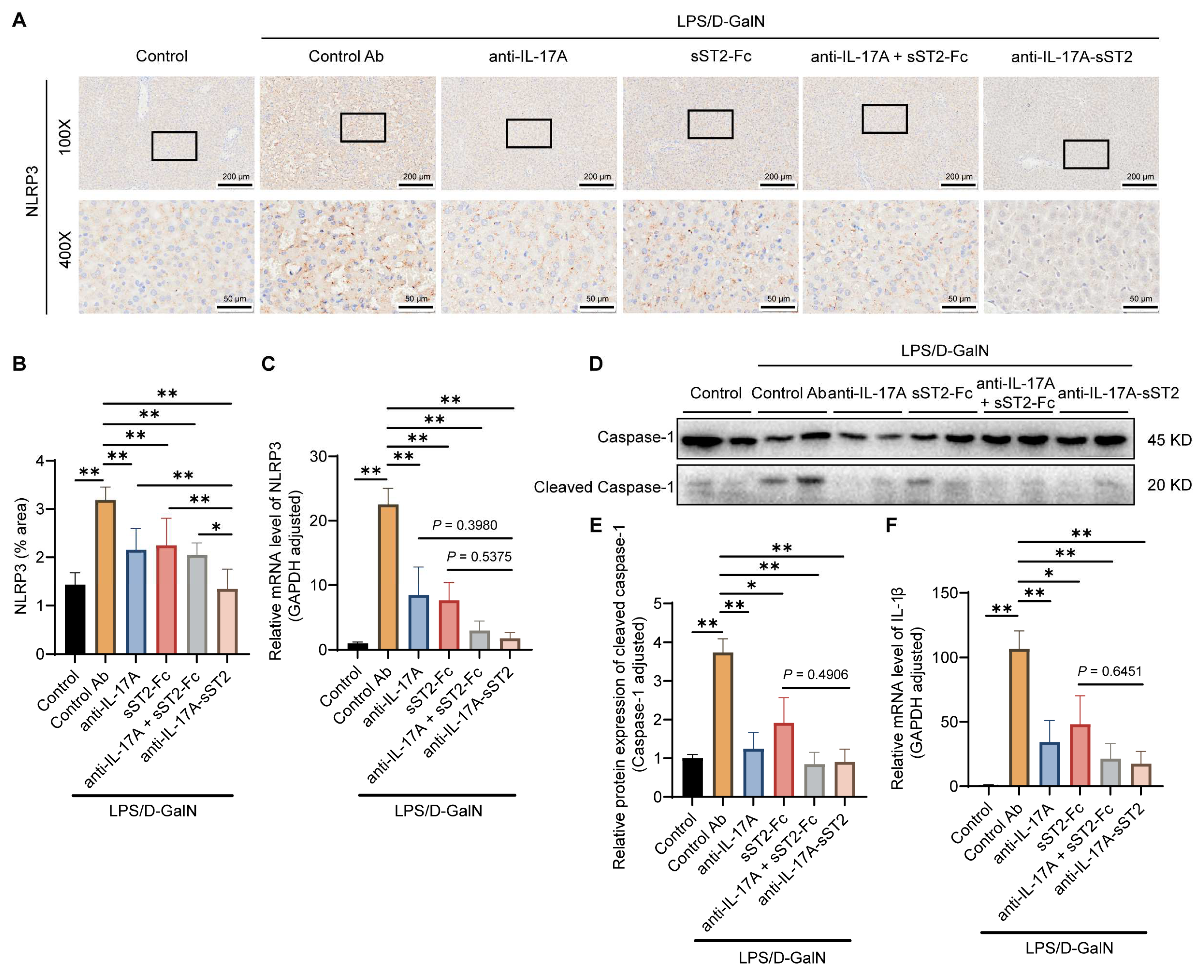 Biomedicines 12 01118 g006