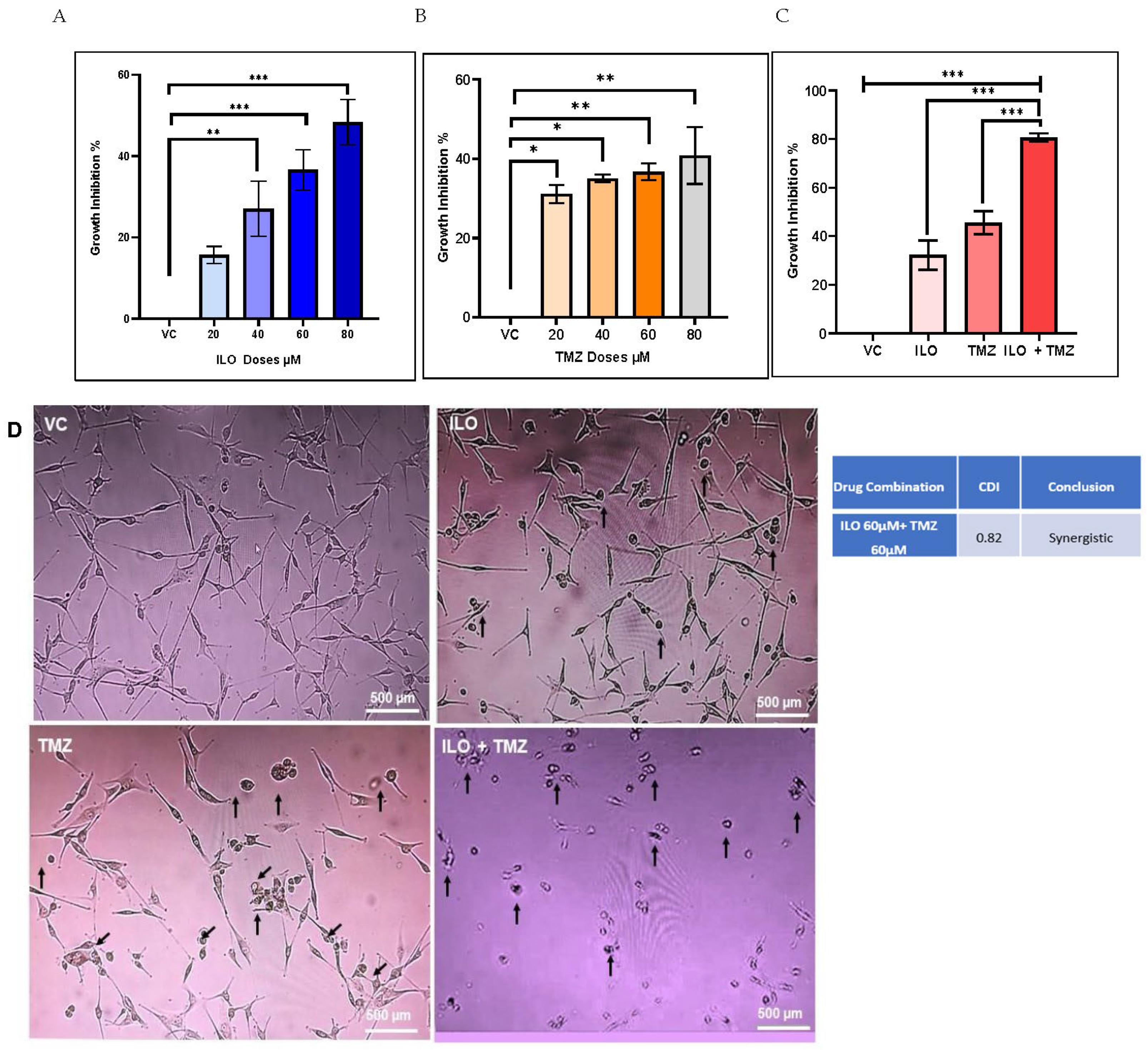 Biomedicines 12 01134 g001