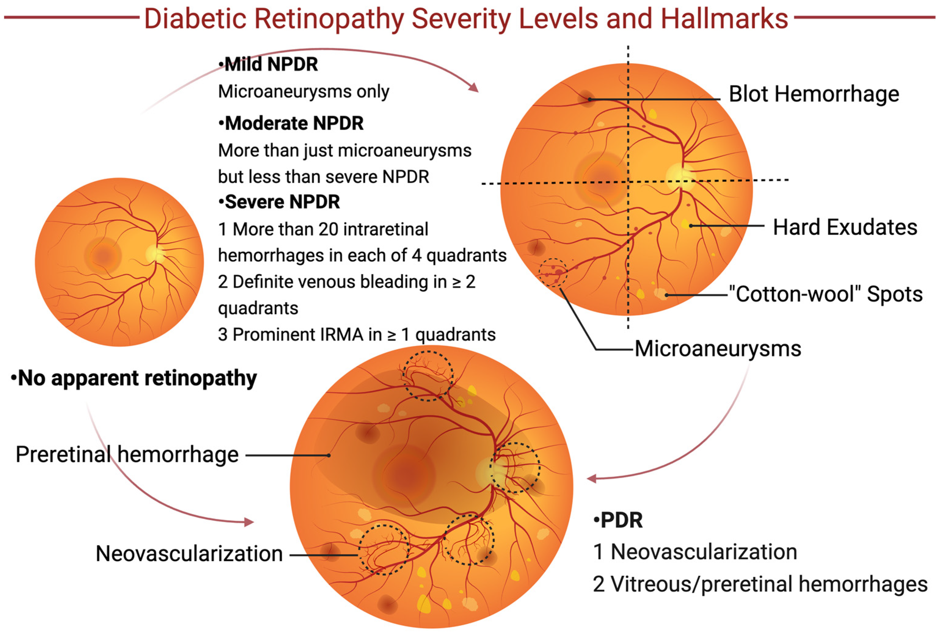 Biomedicines 12 01138 g001
