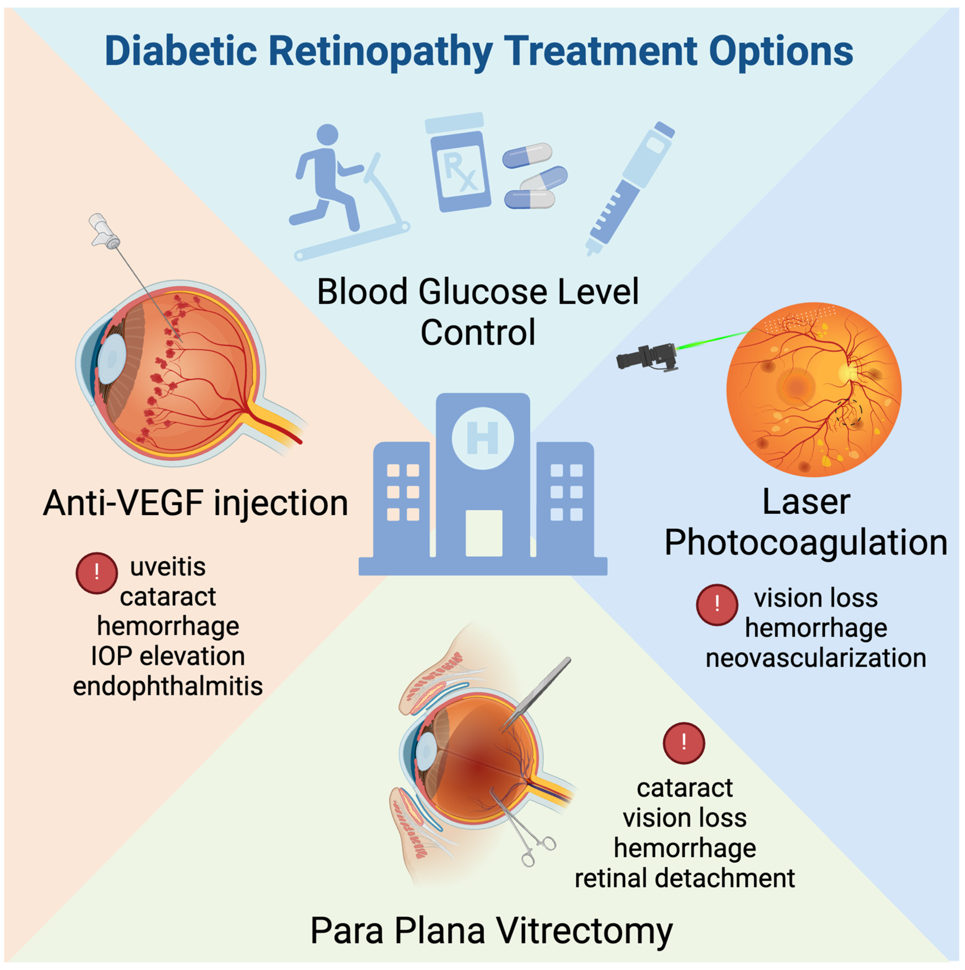 Biomedicines 12 01138 g002