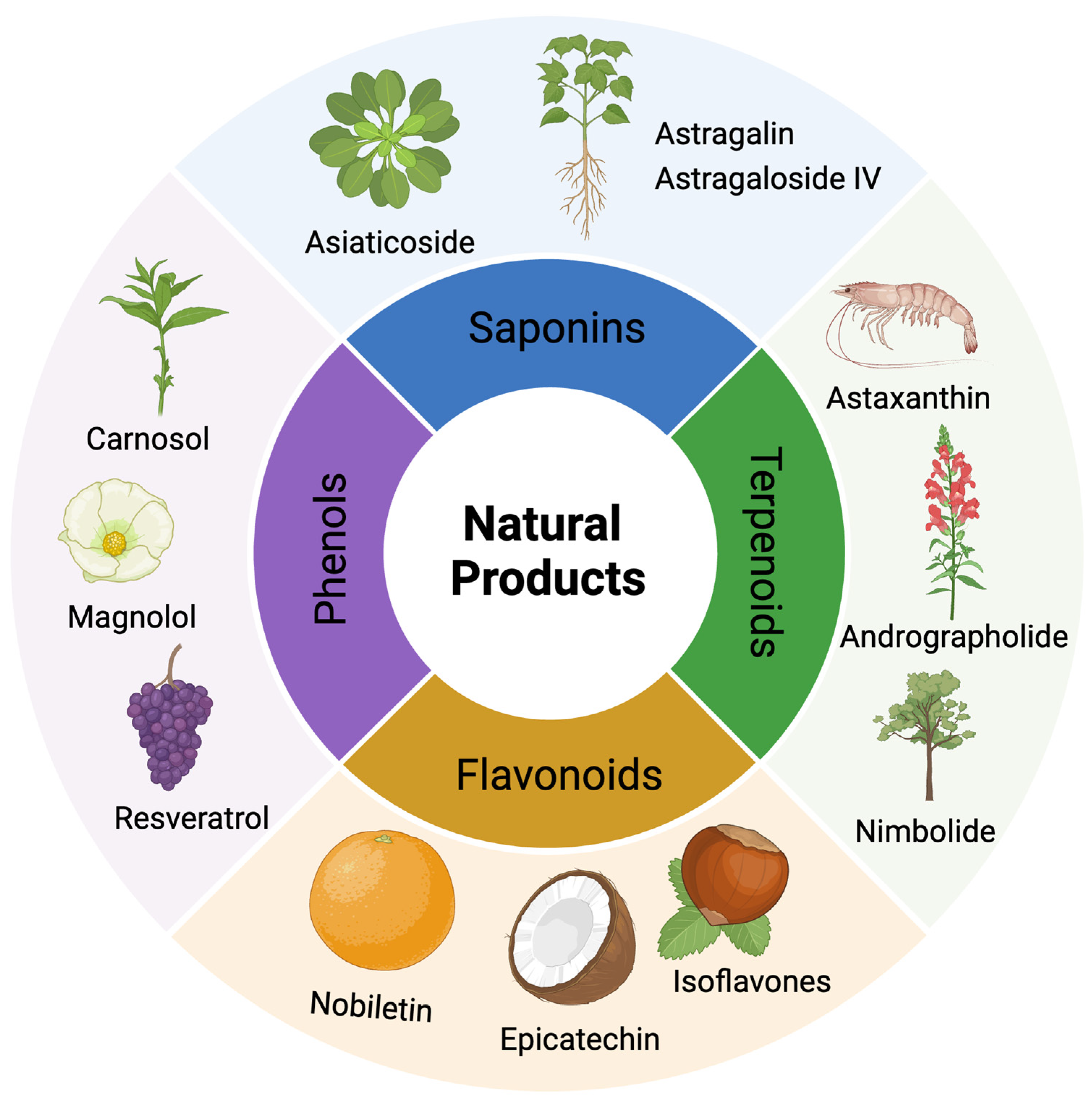 Biomedicines 12 01138 g004