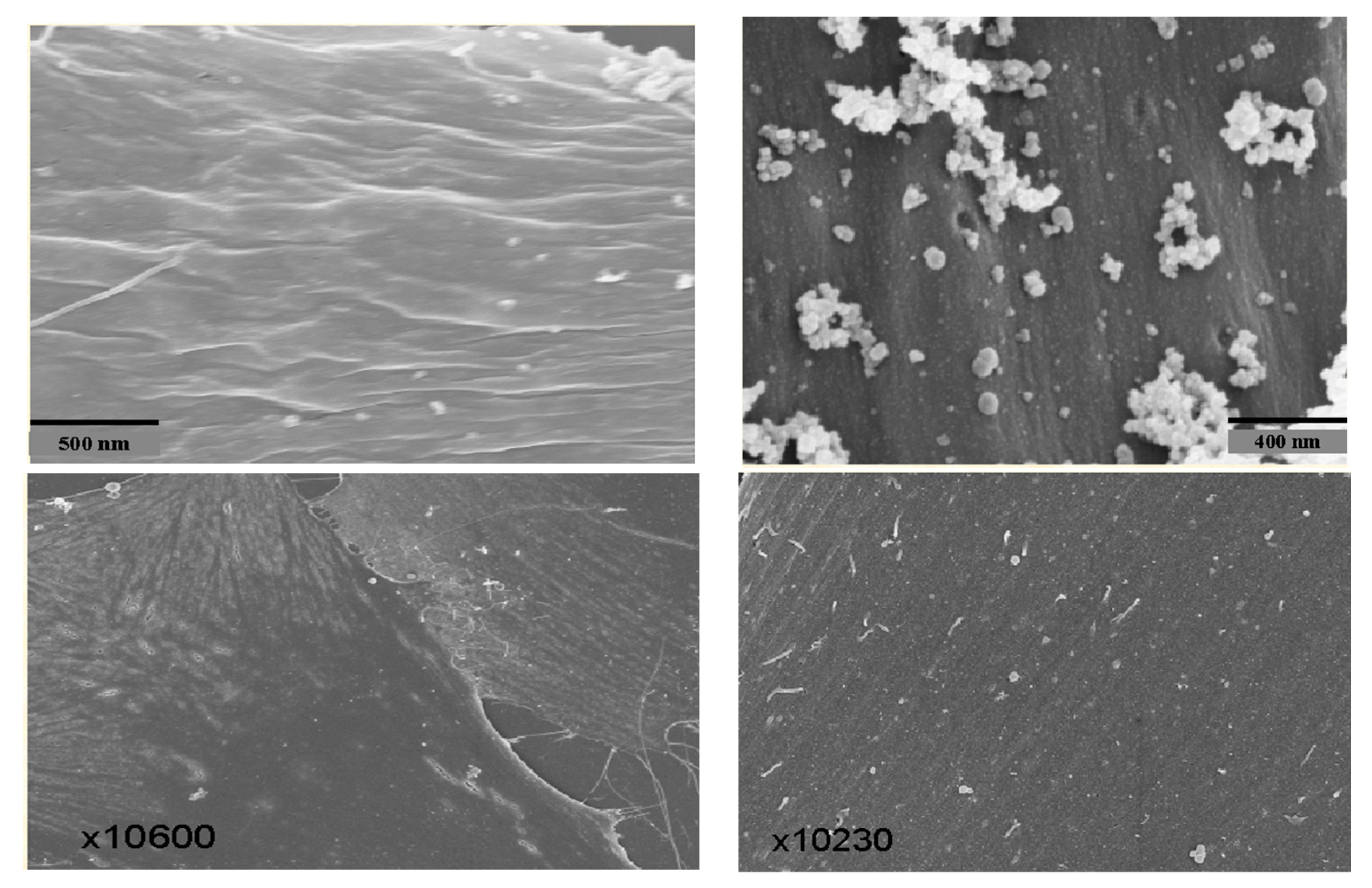Biomedicines 12 01144 g006