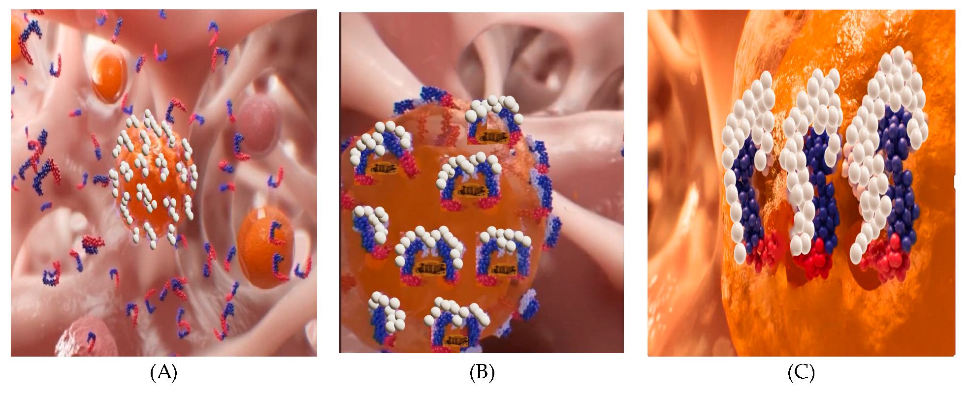 Biomedicines 12 01144 g008
