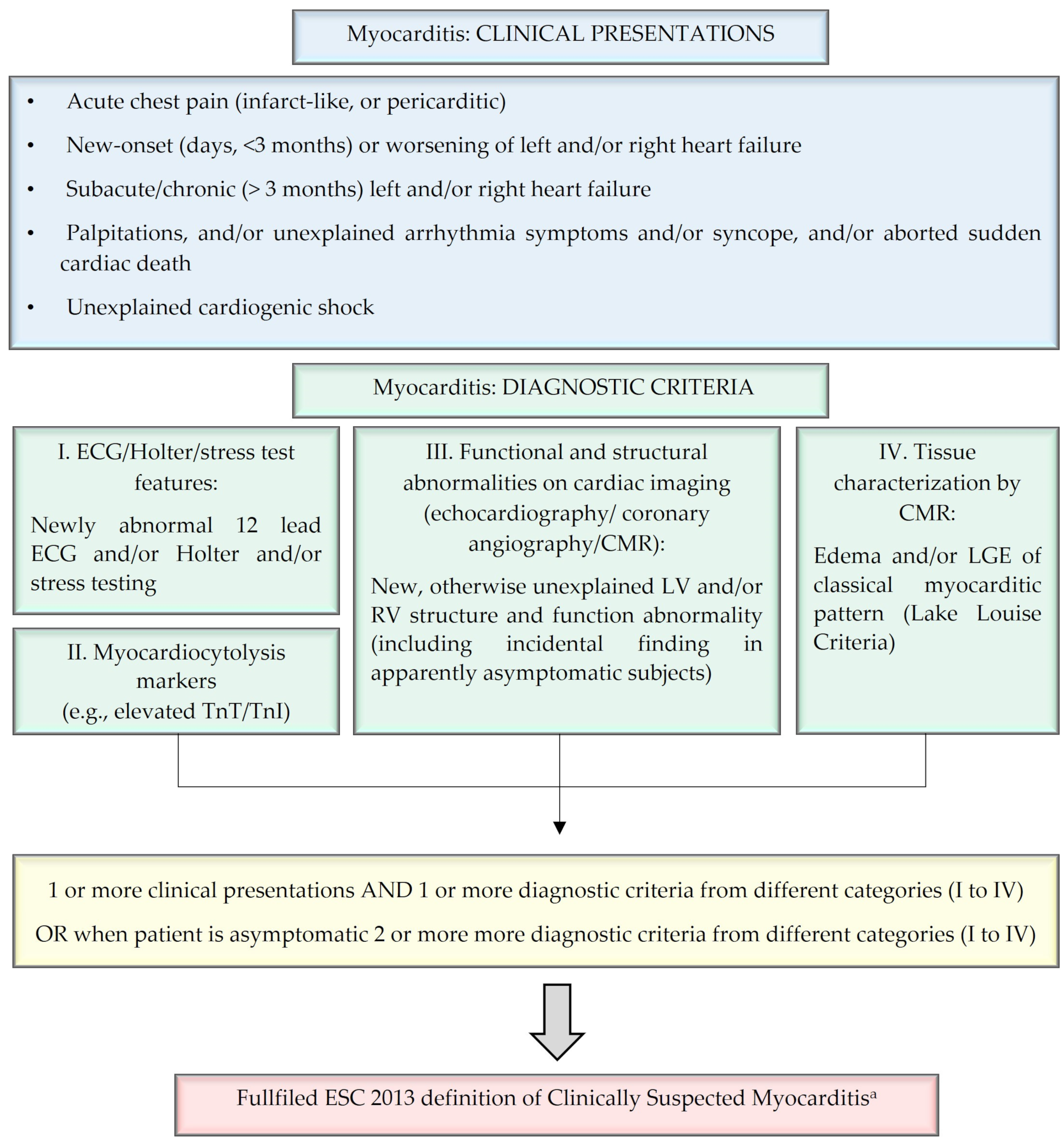 Biomedicines 12 01156 g001