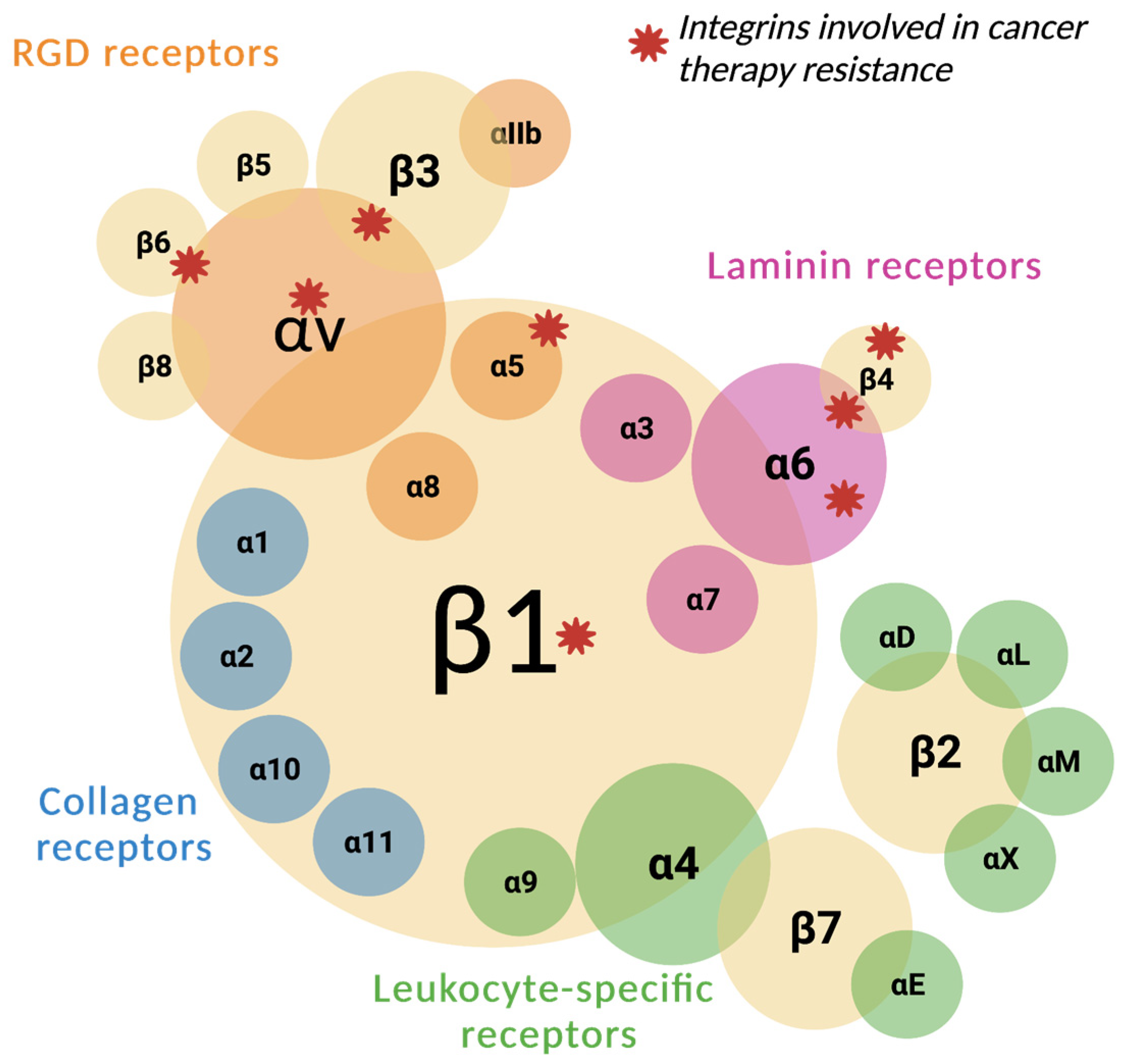 Biomedicines 12 01163 g001