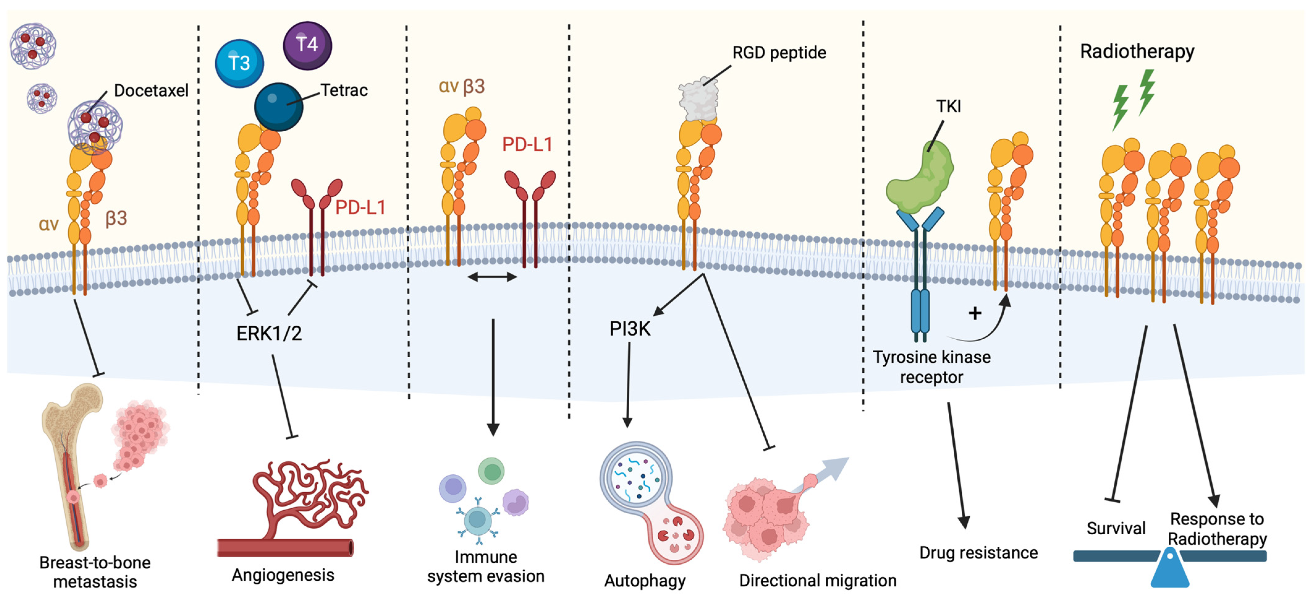 Biomedicines 12 01163 g002