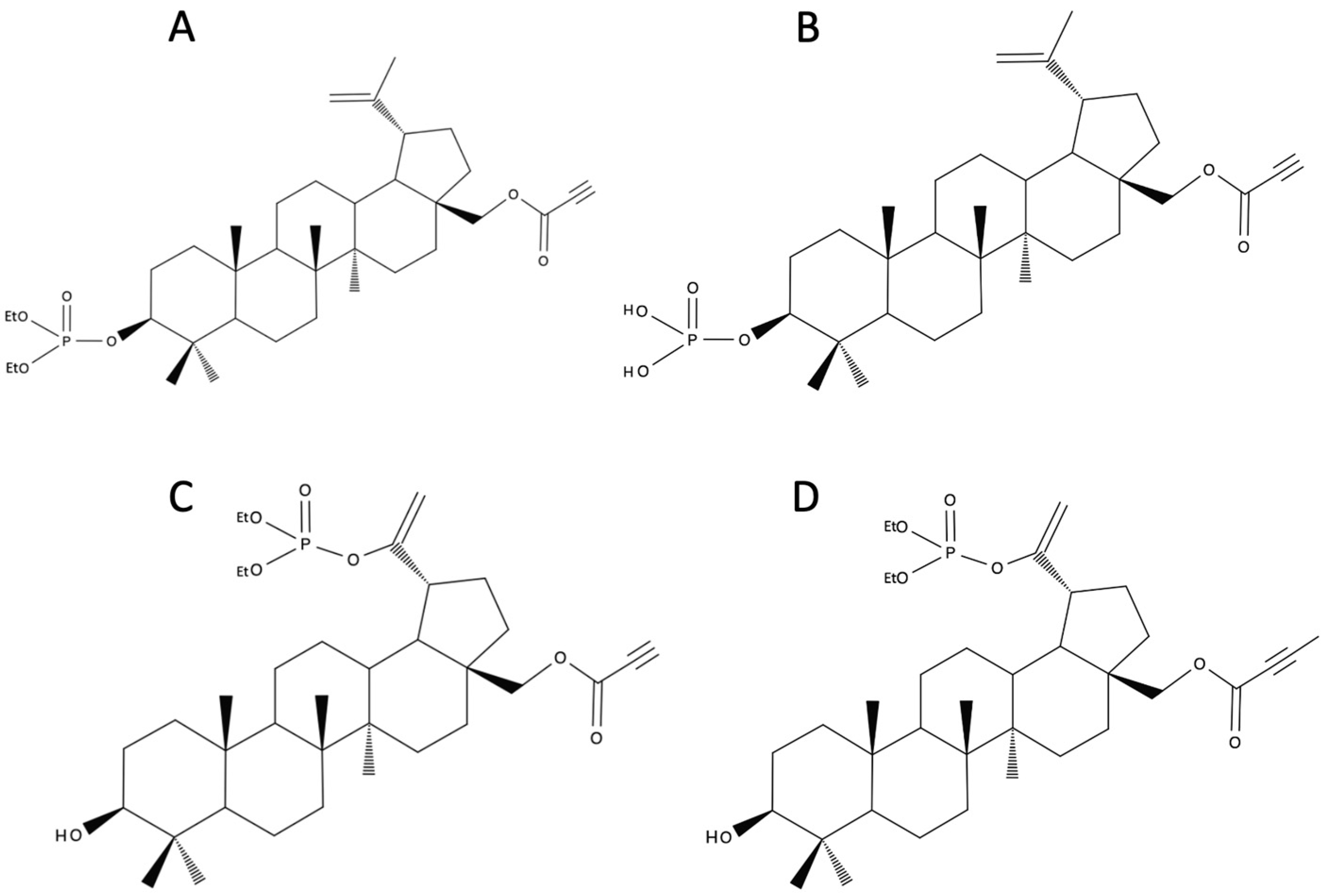 Biomedicines 12 01168 g003