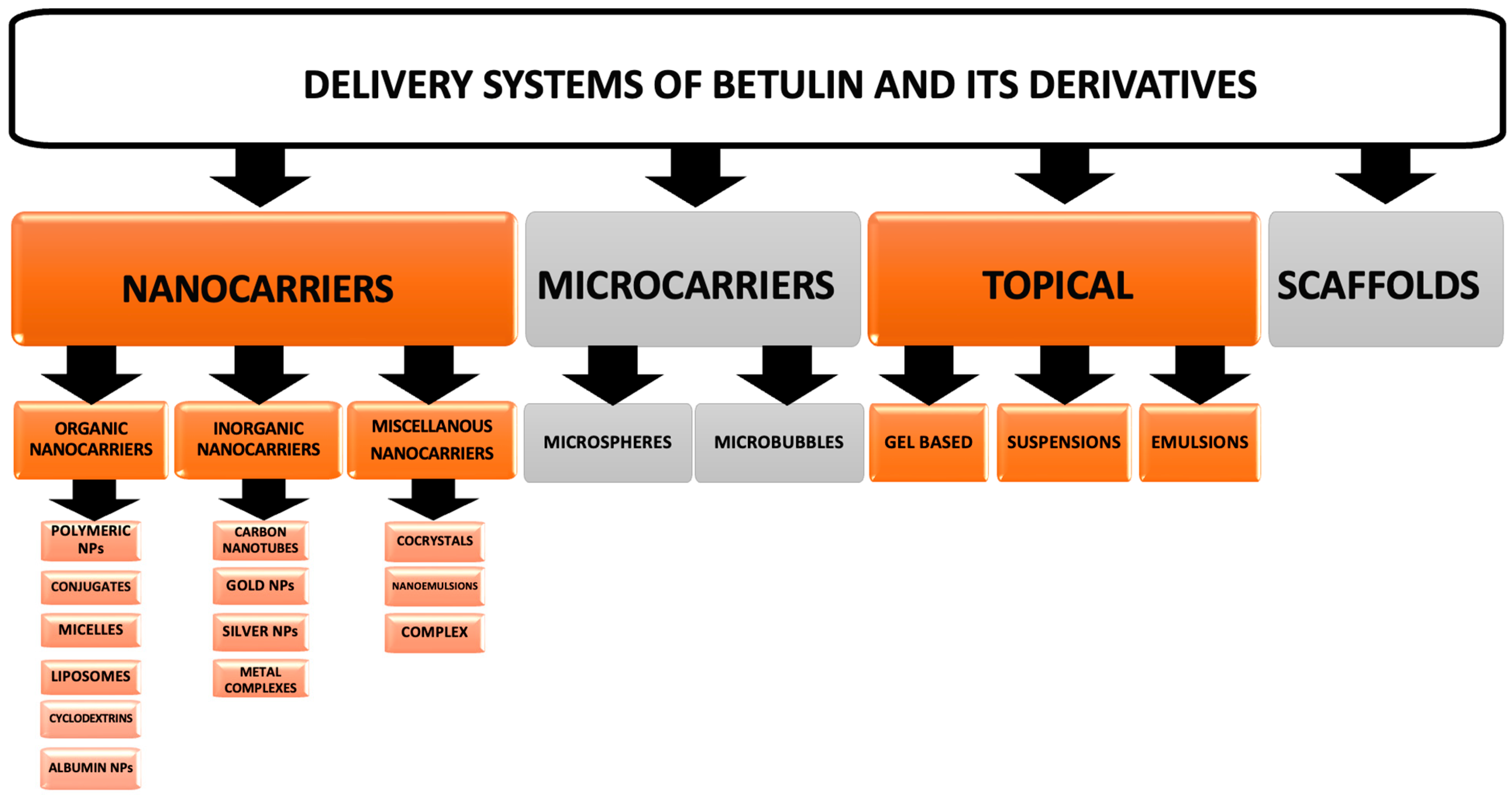 Biomedicines 12 01168 g011