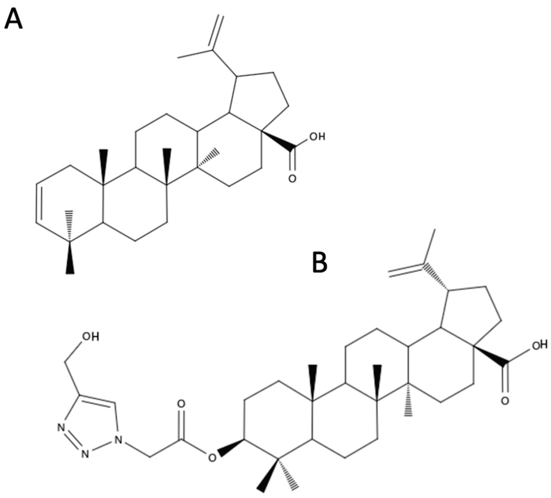 Biomedicines 12 01168 g012