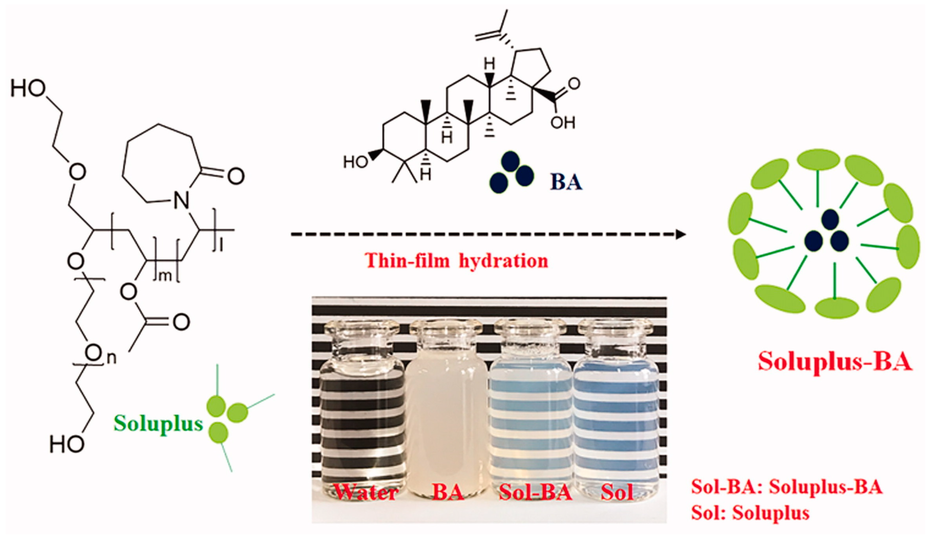Biomedicines 12 01168 g014