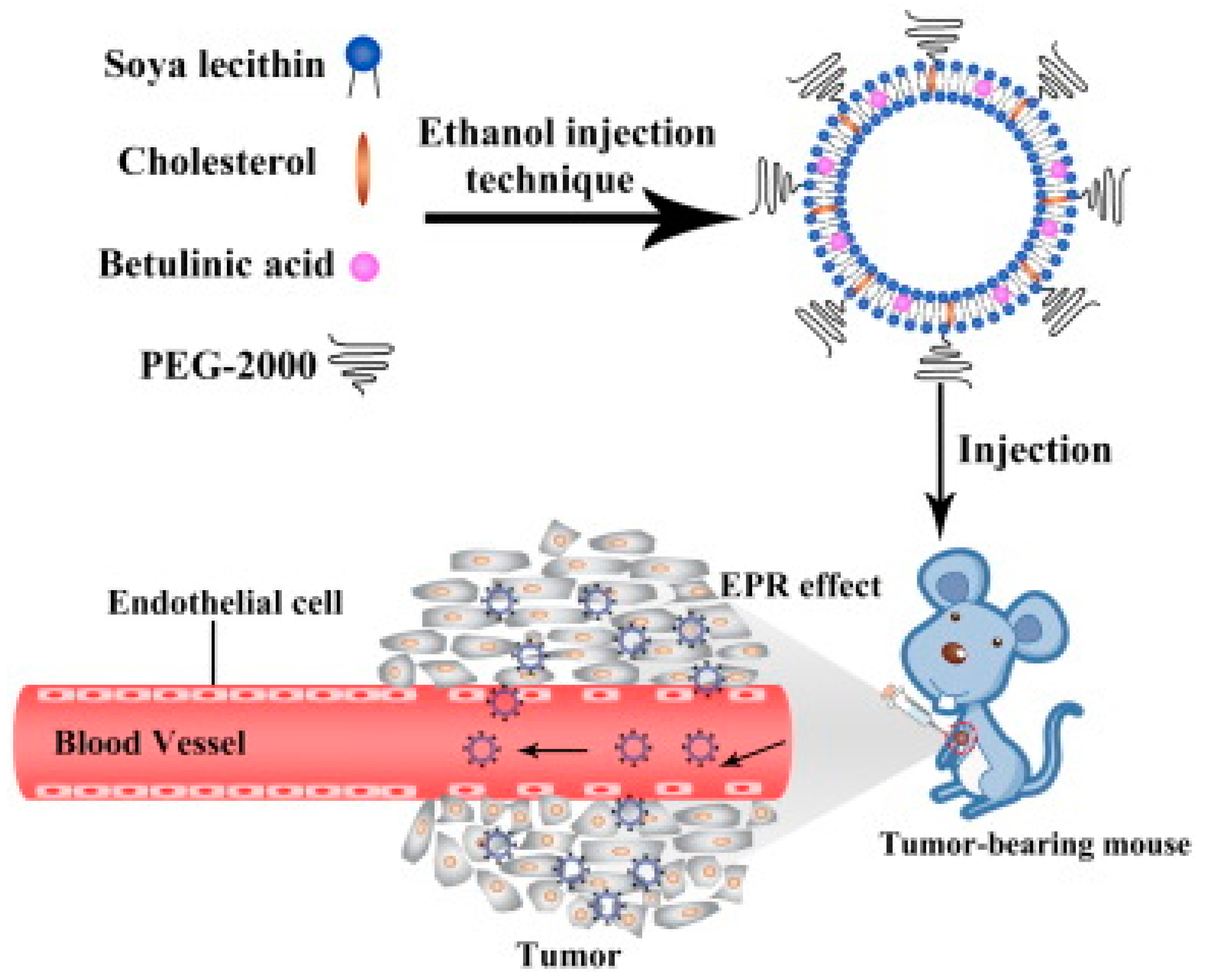 Biomedicines 12 01168 g015