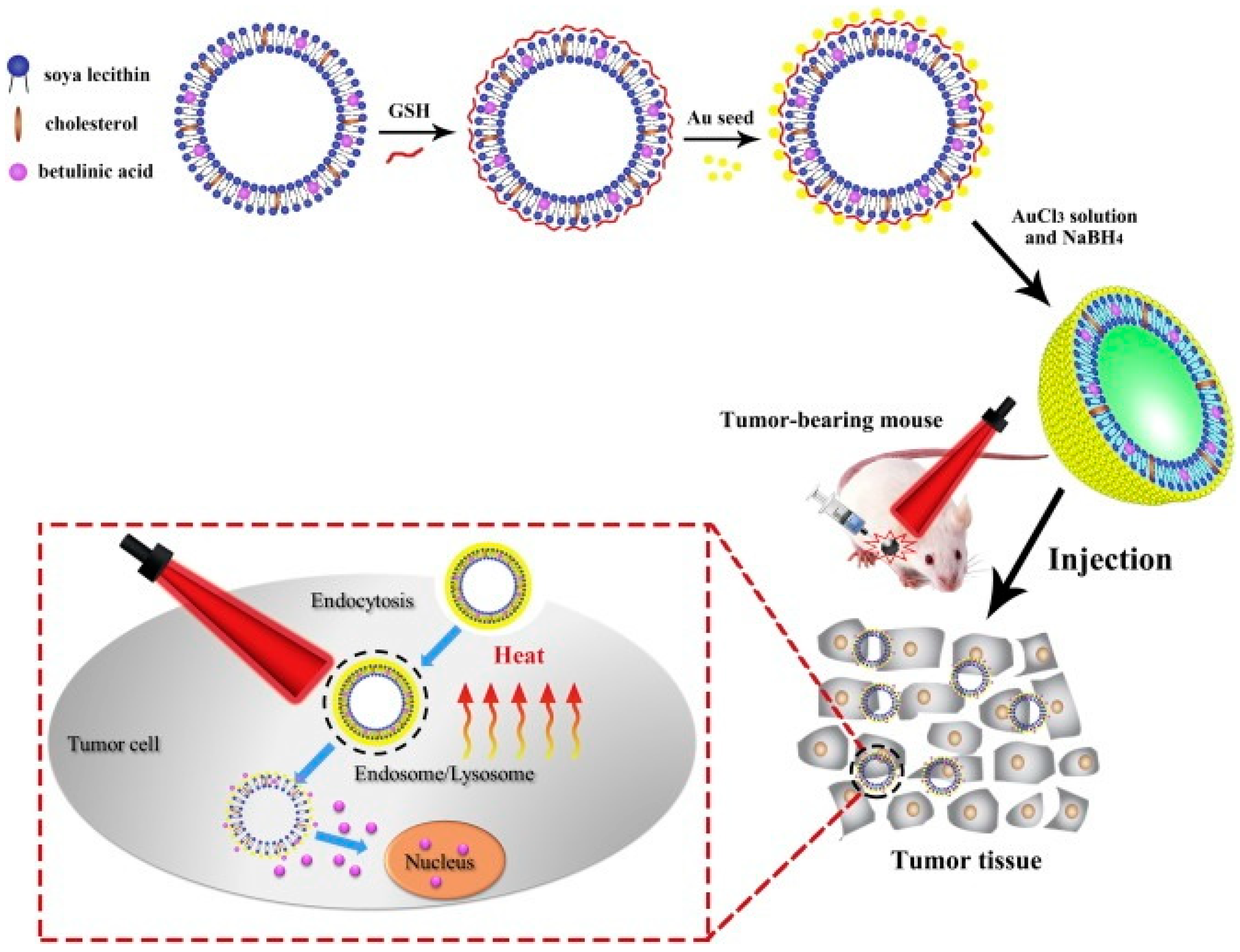 Biomedicines 12 01168 g017