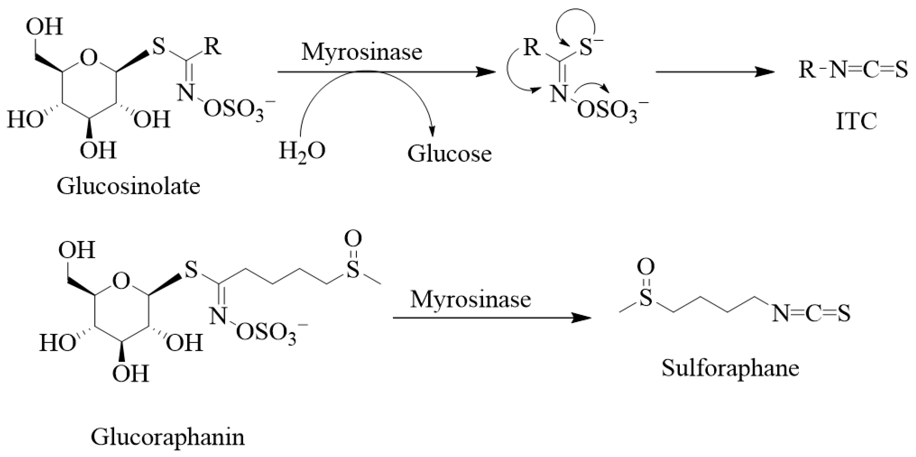 Biomedicines 12 01169 g002