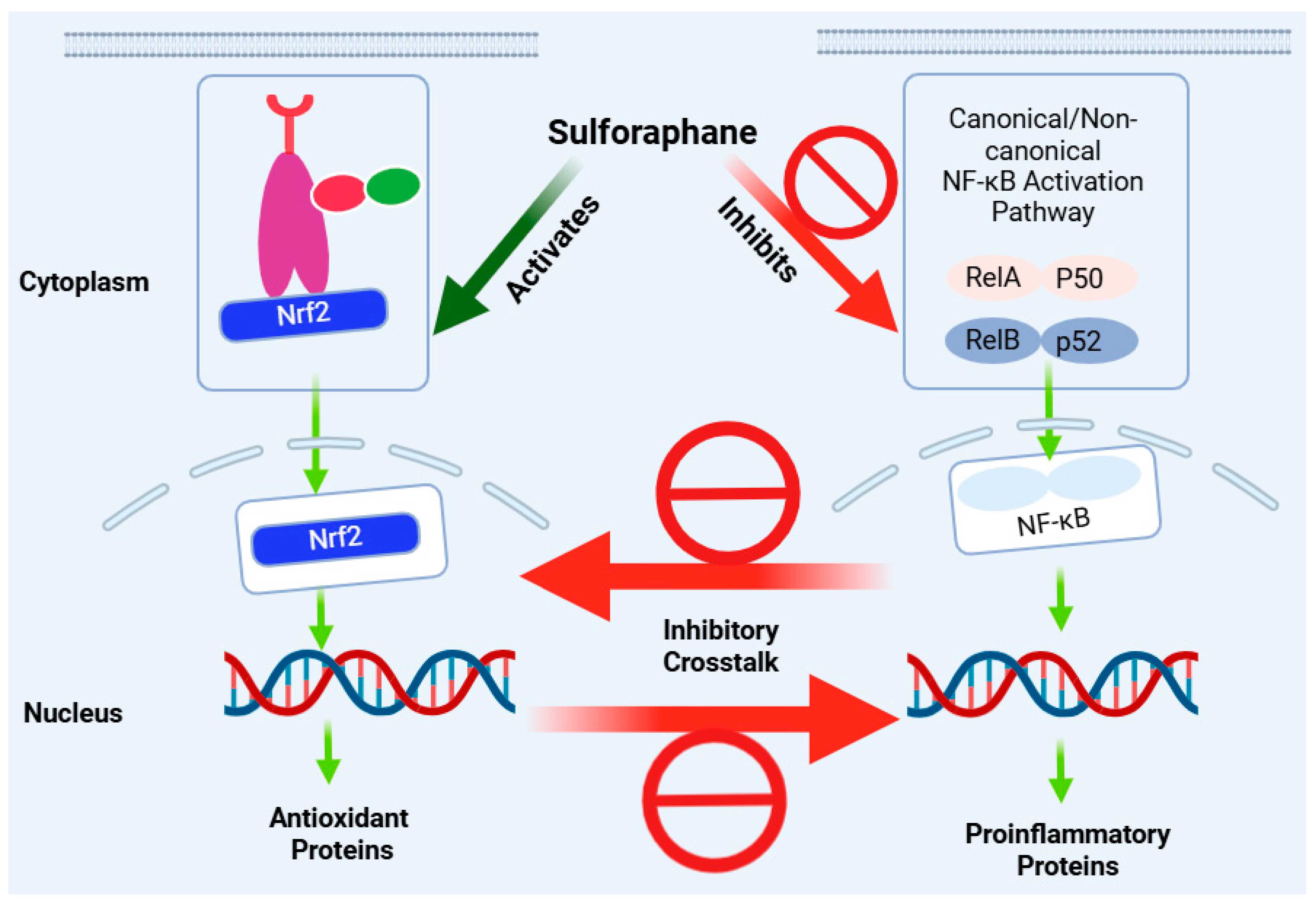 Biomedicines 12 01169 g006