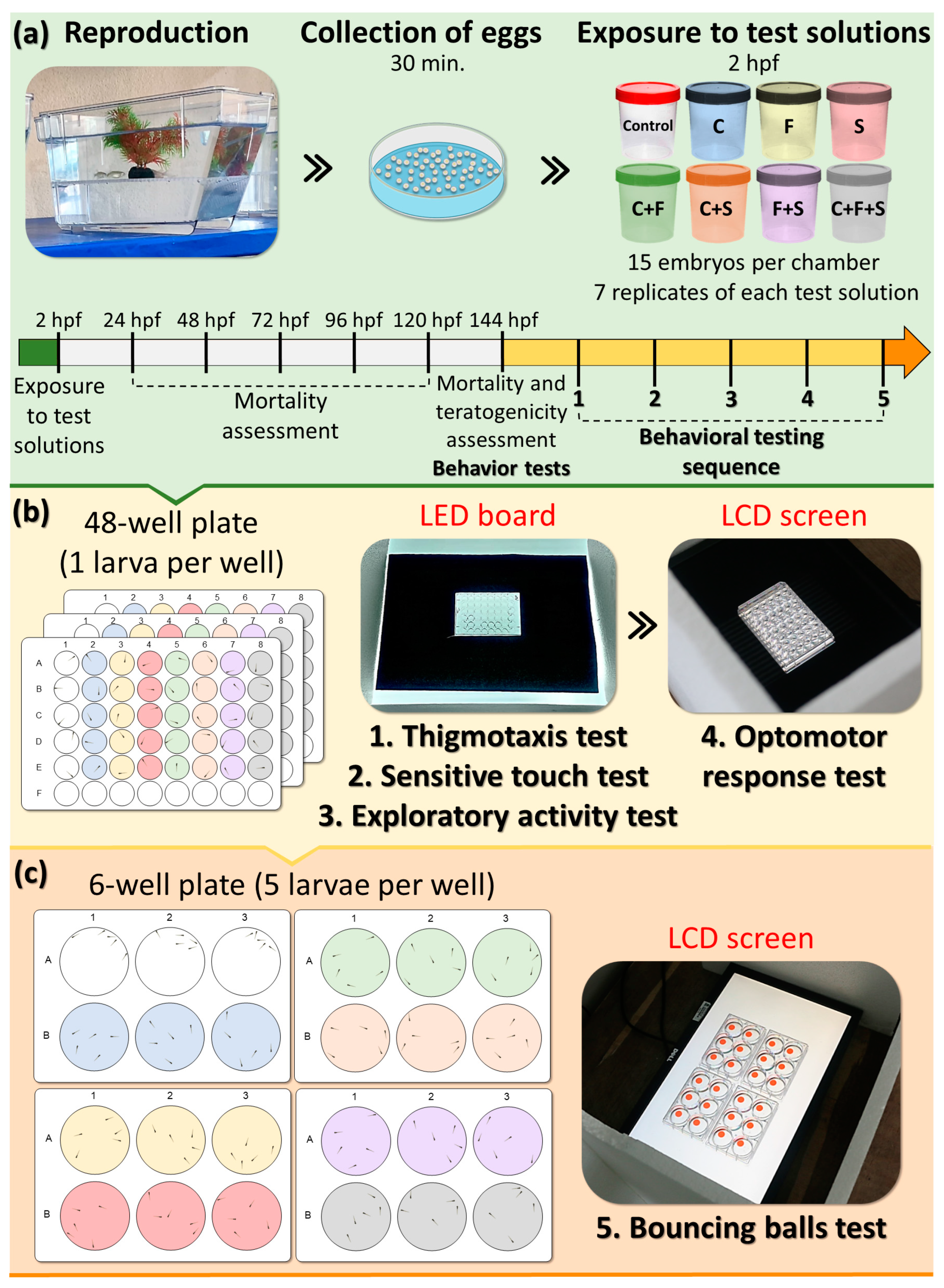 Biomedicines 12 01176 g001