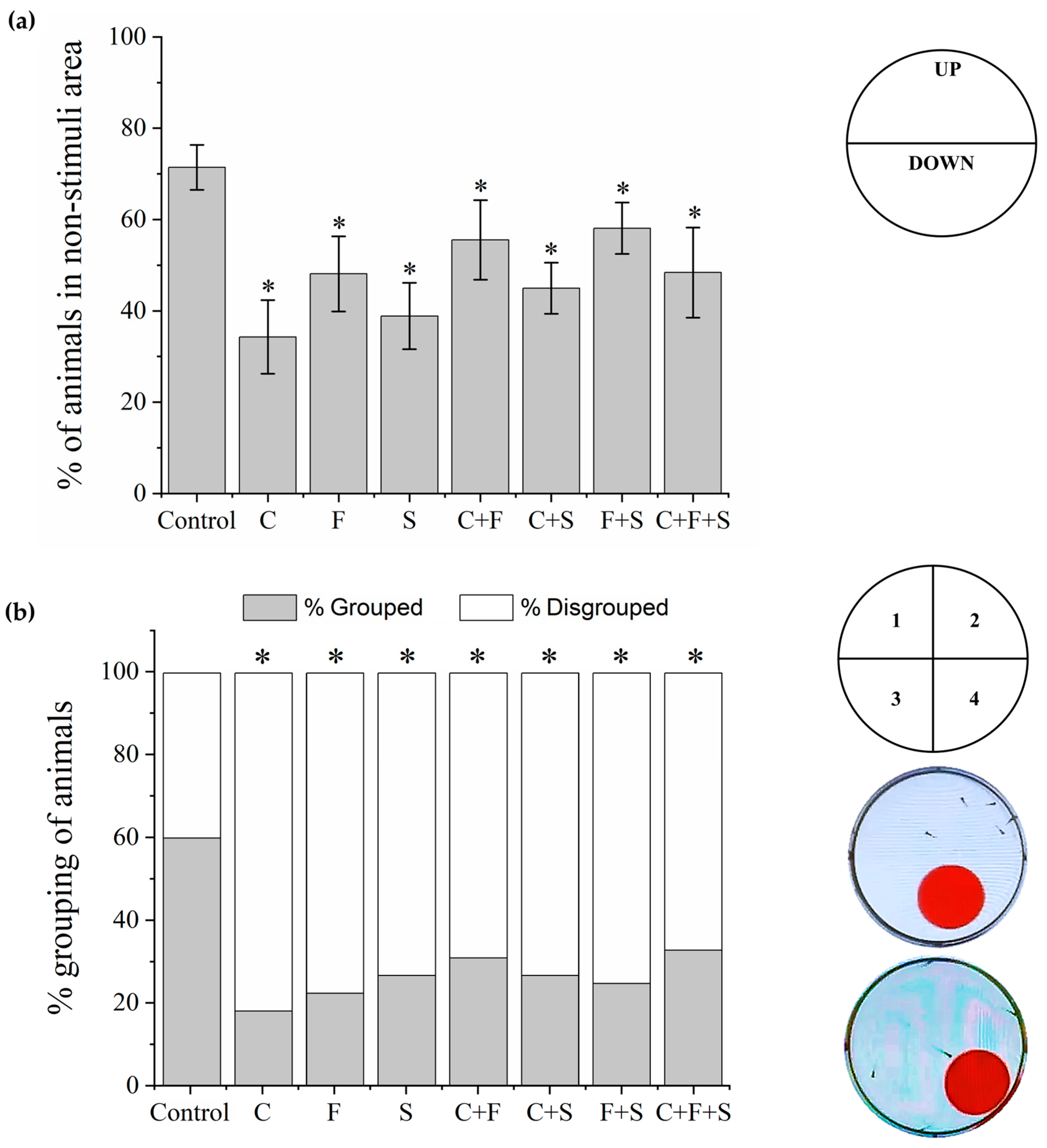 Biomedicines 12 01176 g006