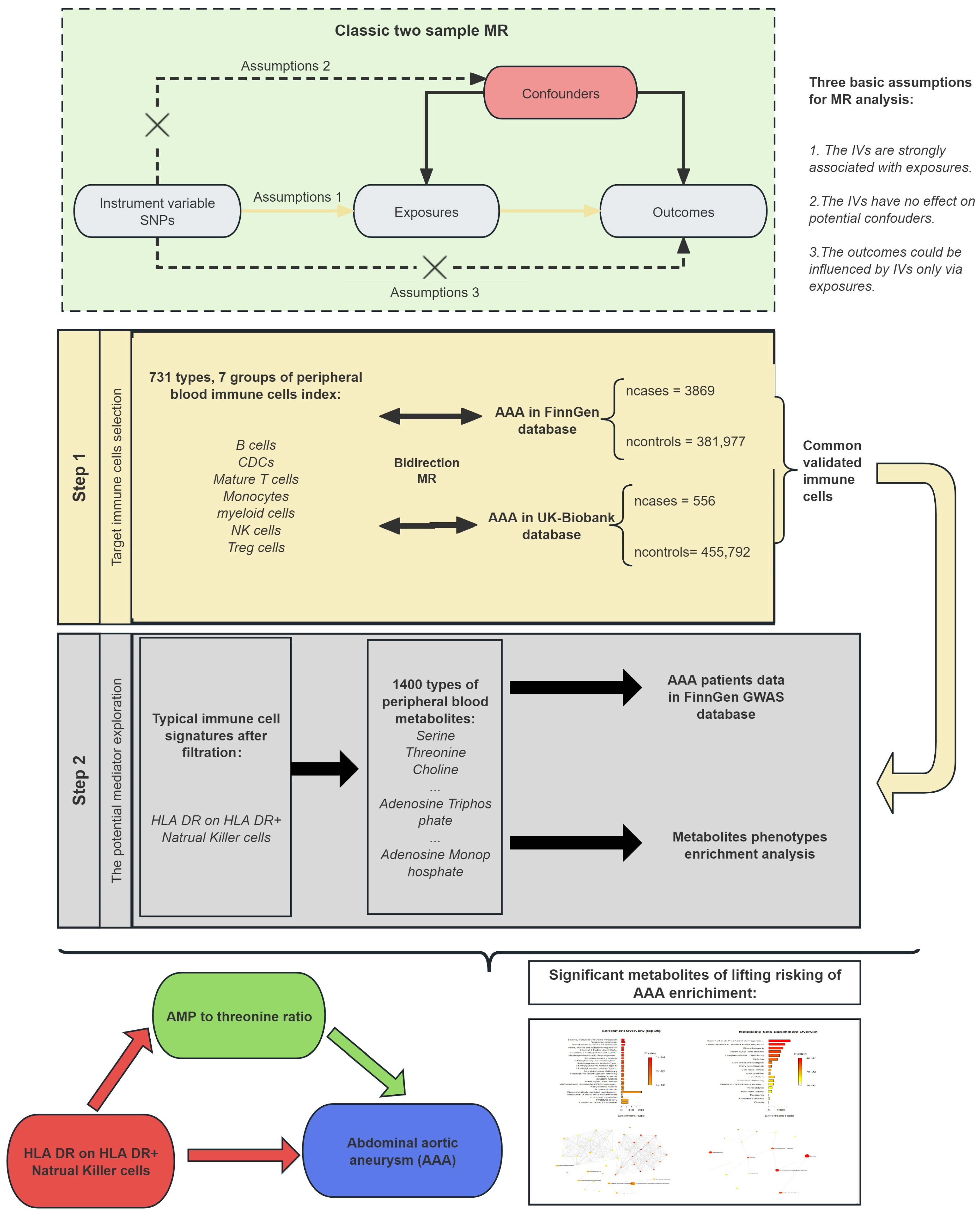 Biomedicines 12 01179 g001