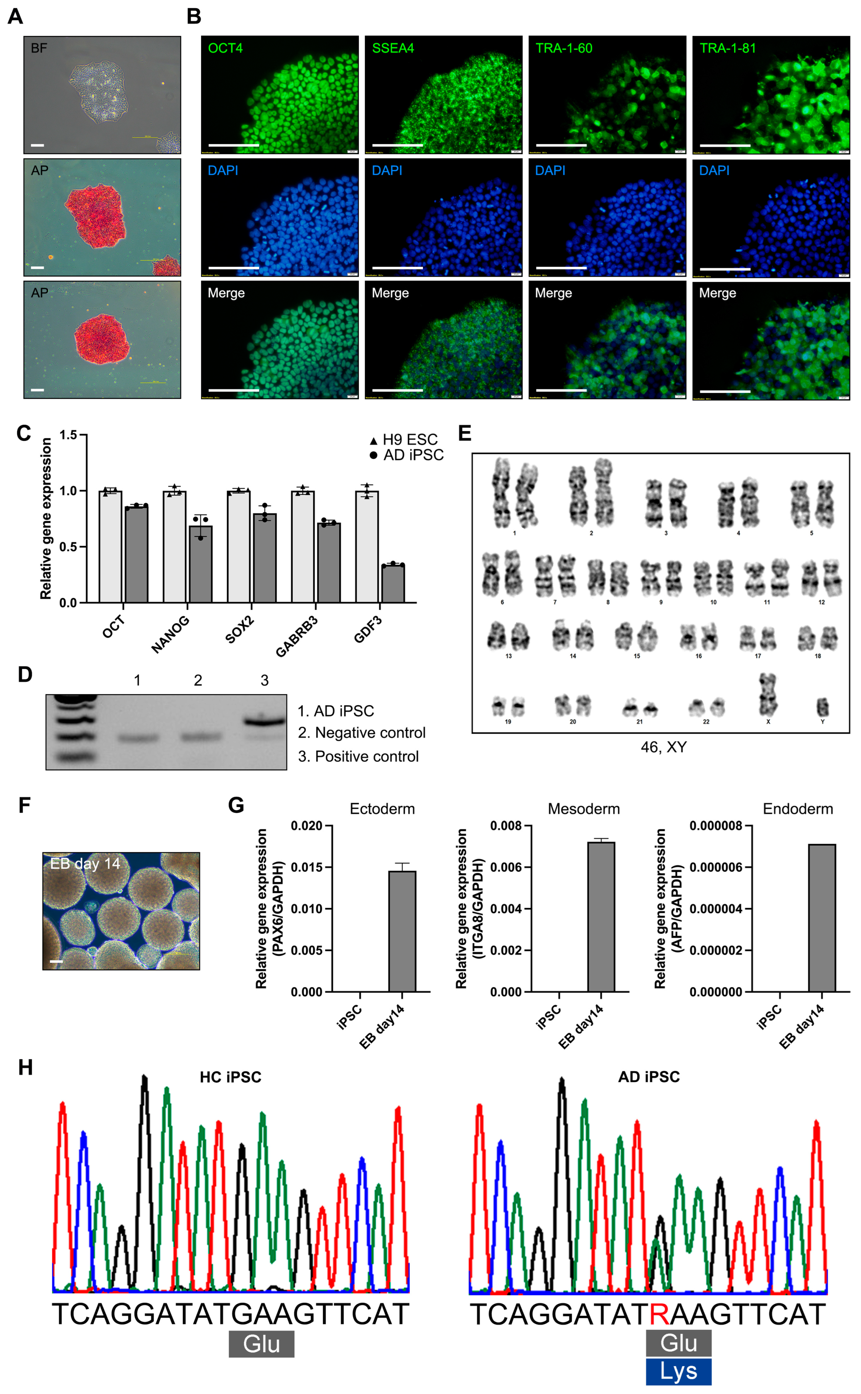 Biomedicines 12 01193 g001