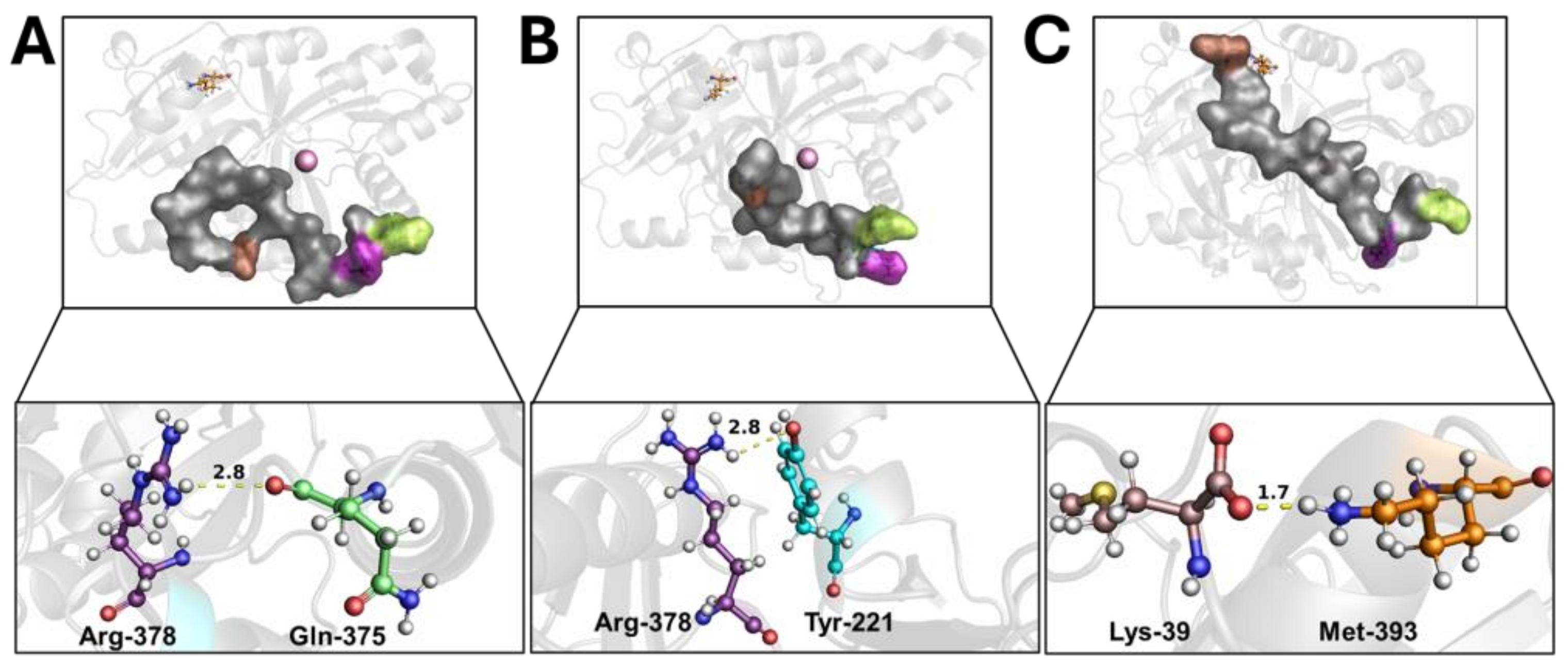 Biomedicines 12 01196 g002
