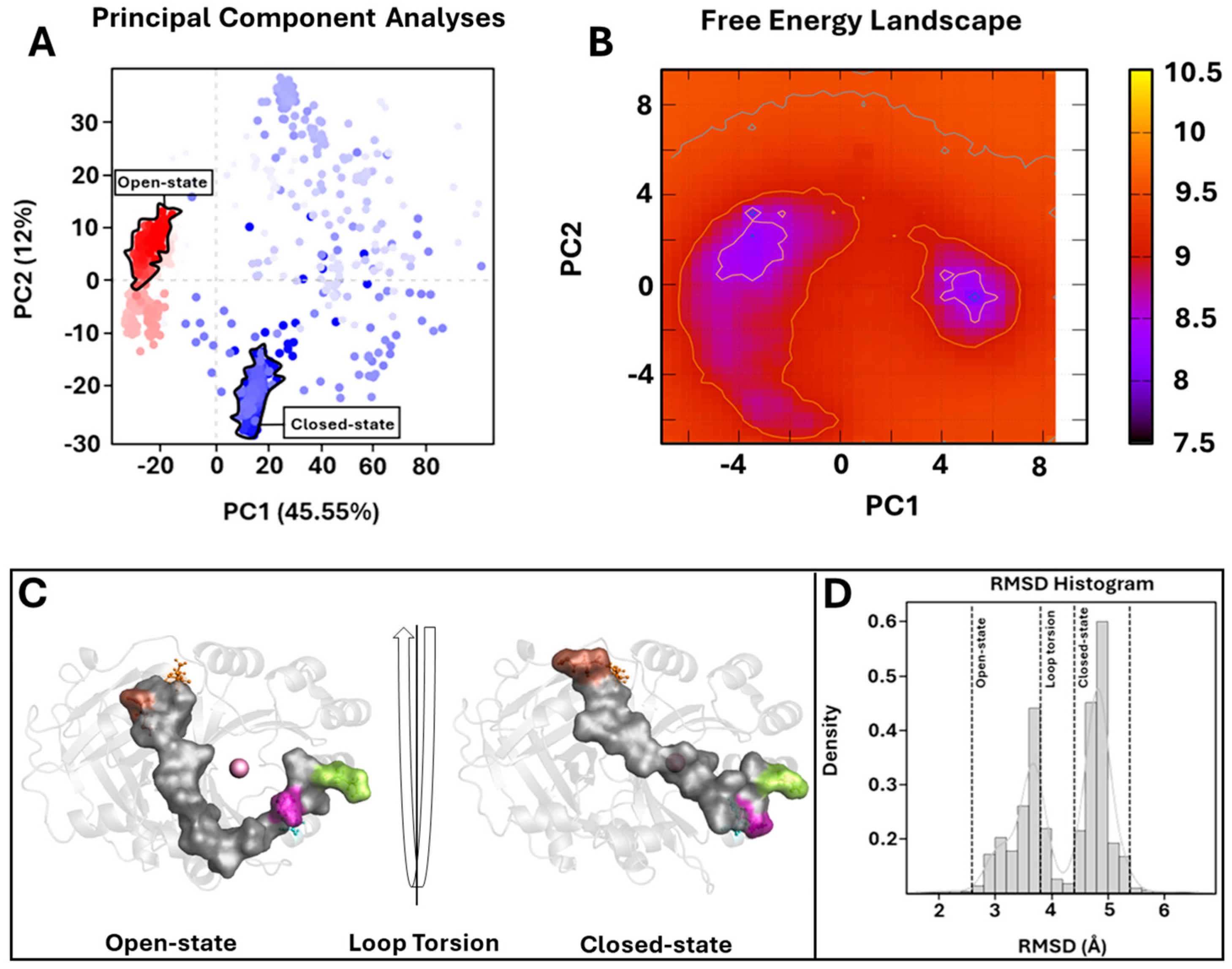 Biomedicines 12 01196 g004