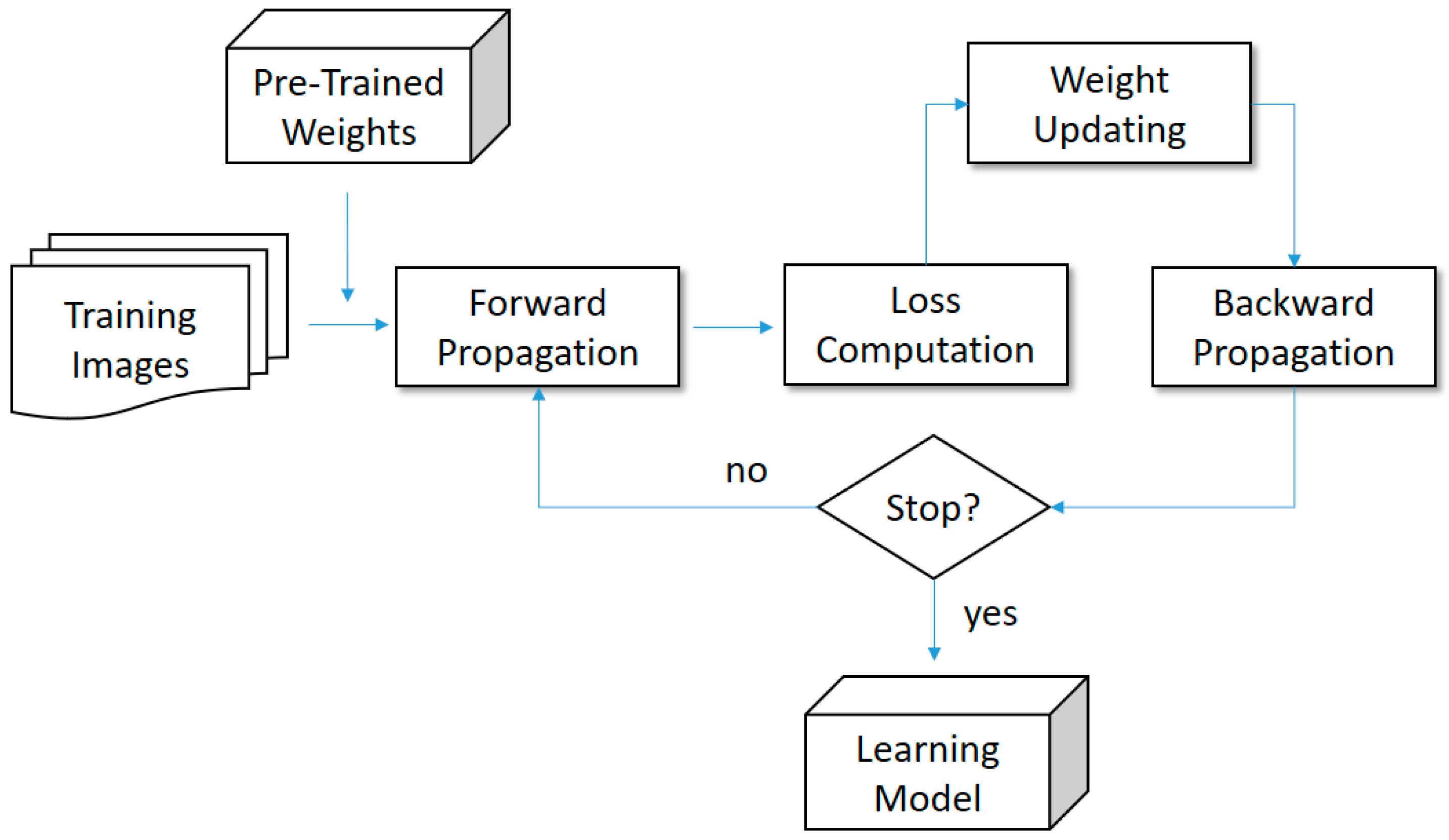 Biomedicines 12 01198 g004