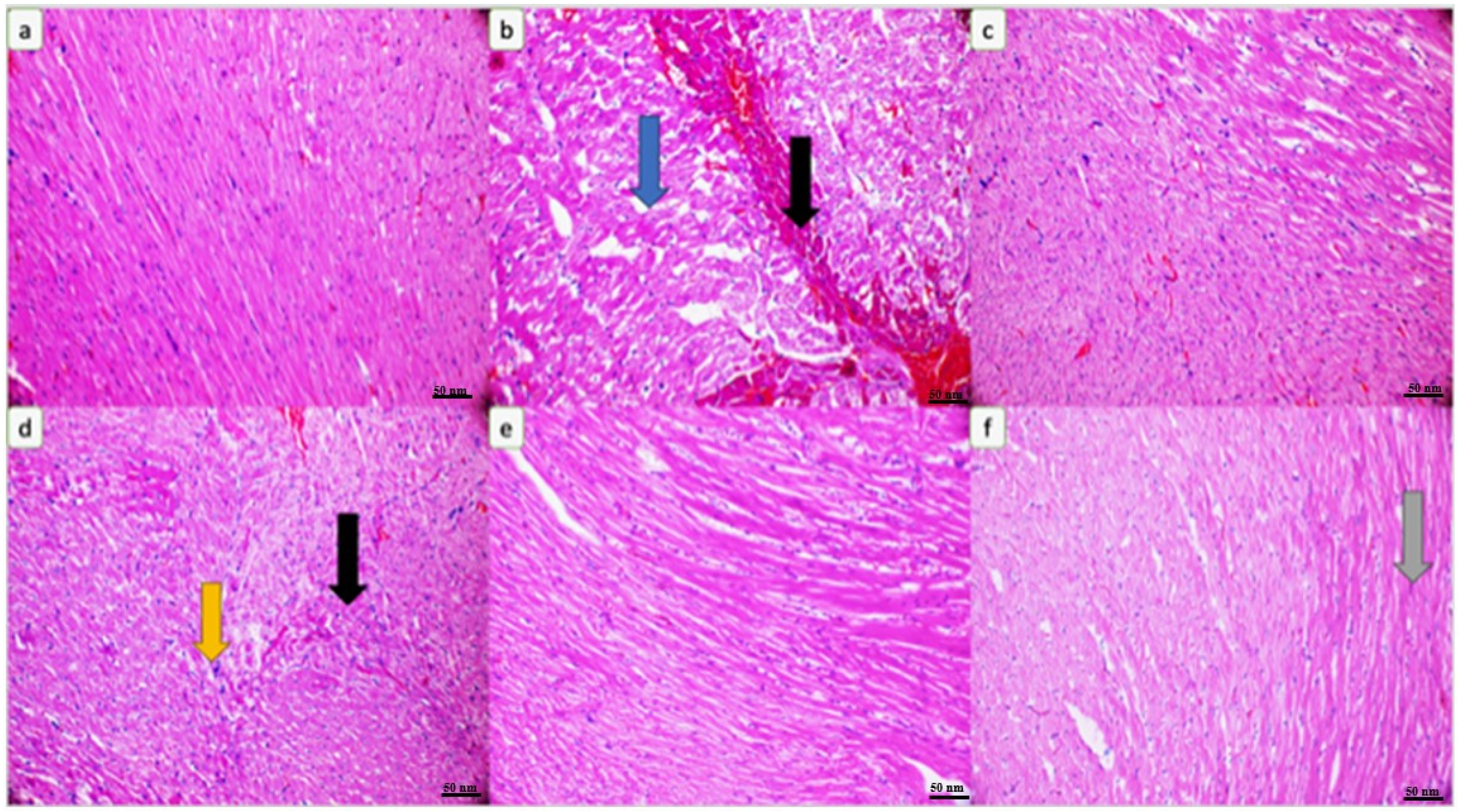 Biomedicines 12 01199 g008 Biomedicines 12 01199 g008