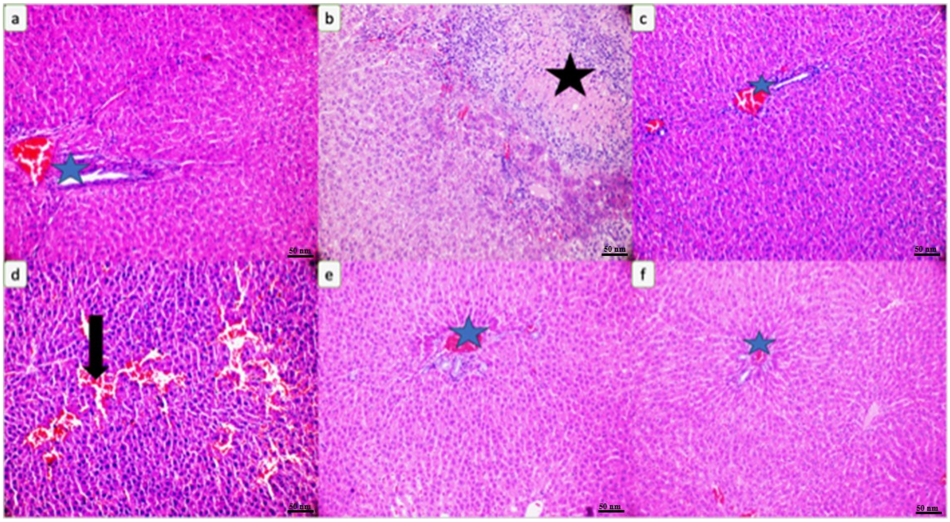 Biomedicines 12 01199 g009 Biomedicines 12 01199 g009