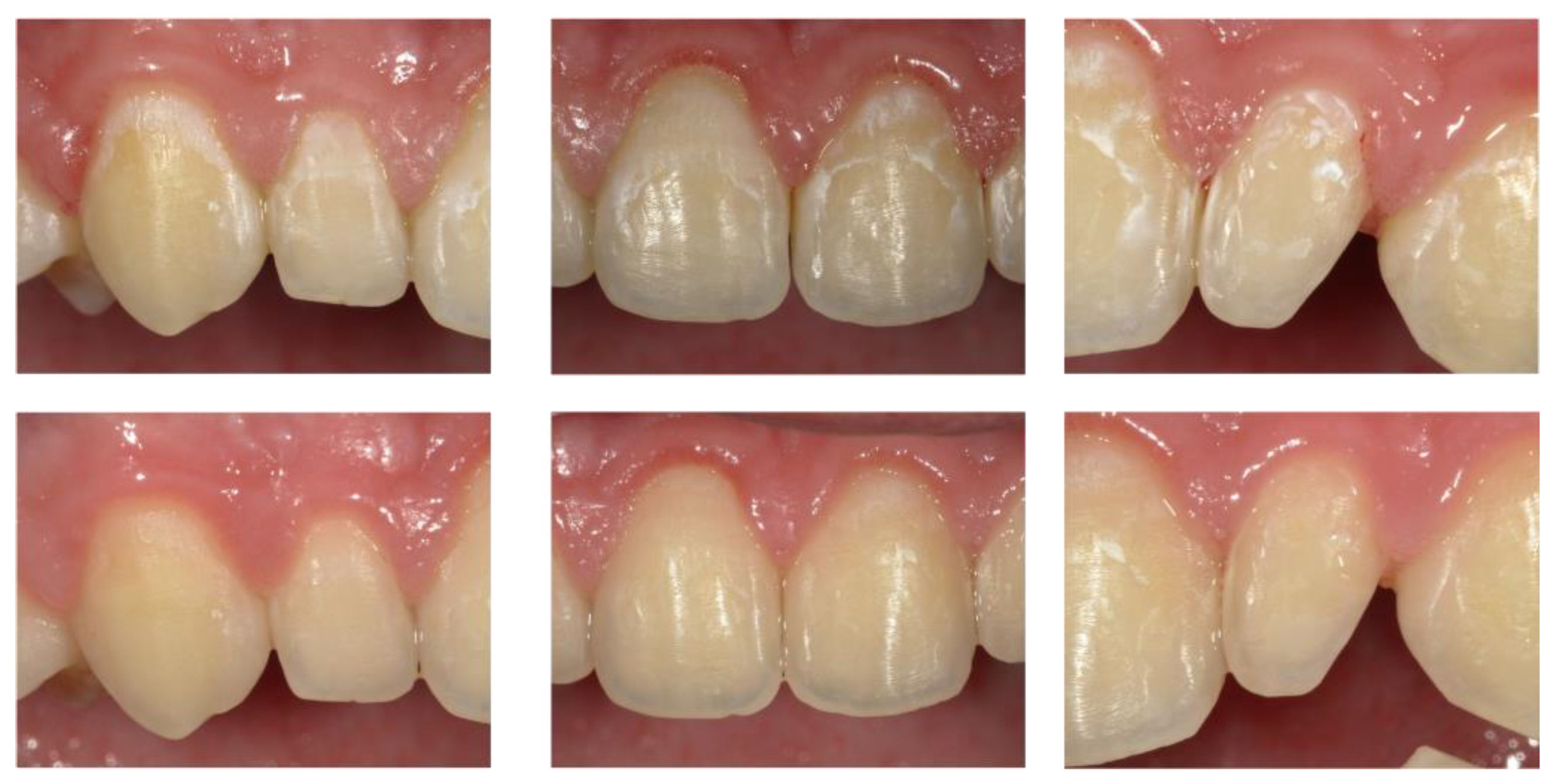 Biomedicines 12 01202 g001