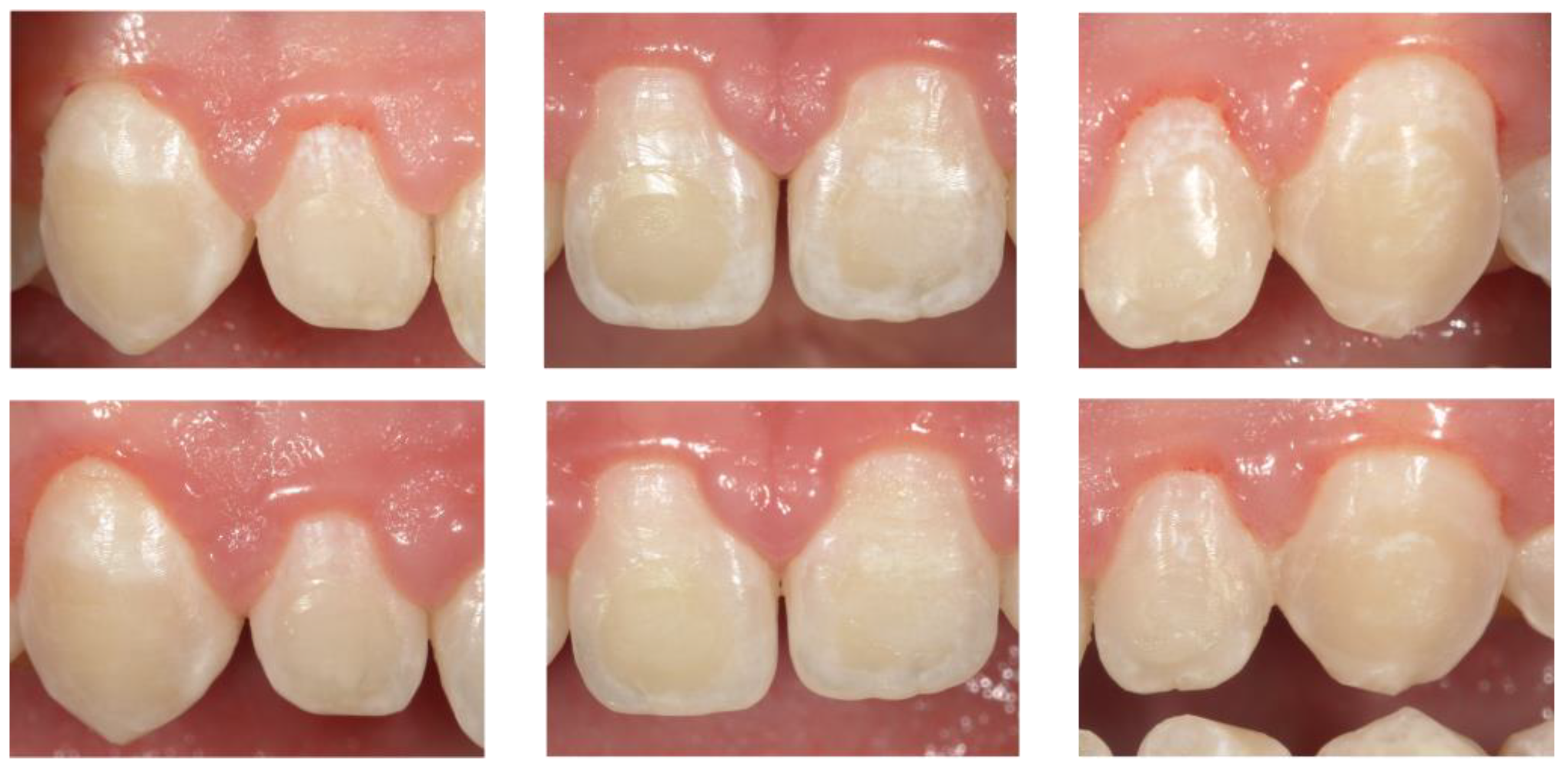 Biomedicines 12 01202 g002