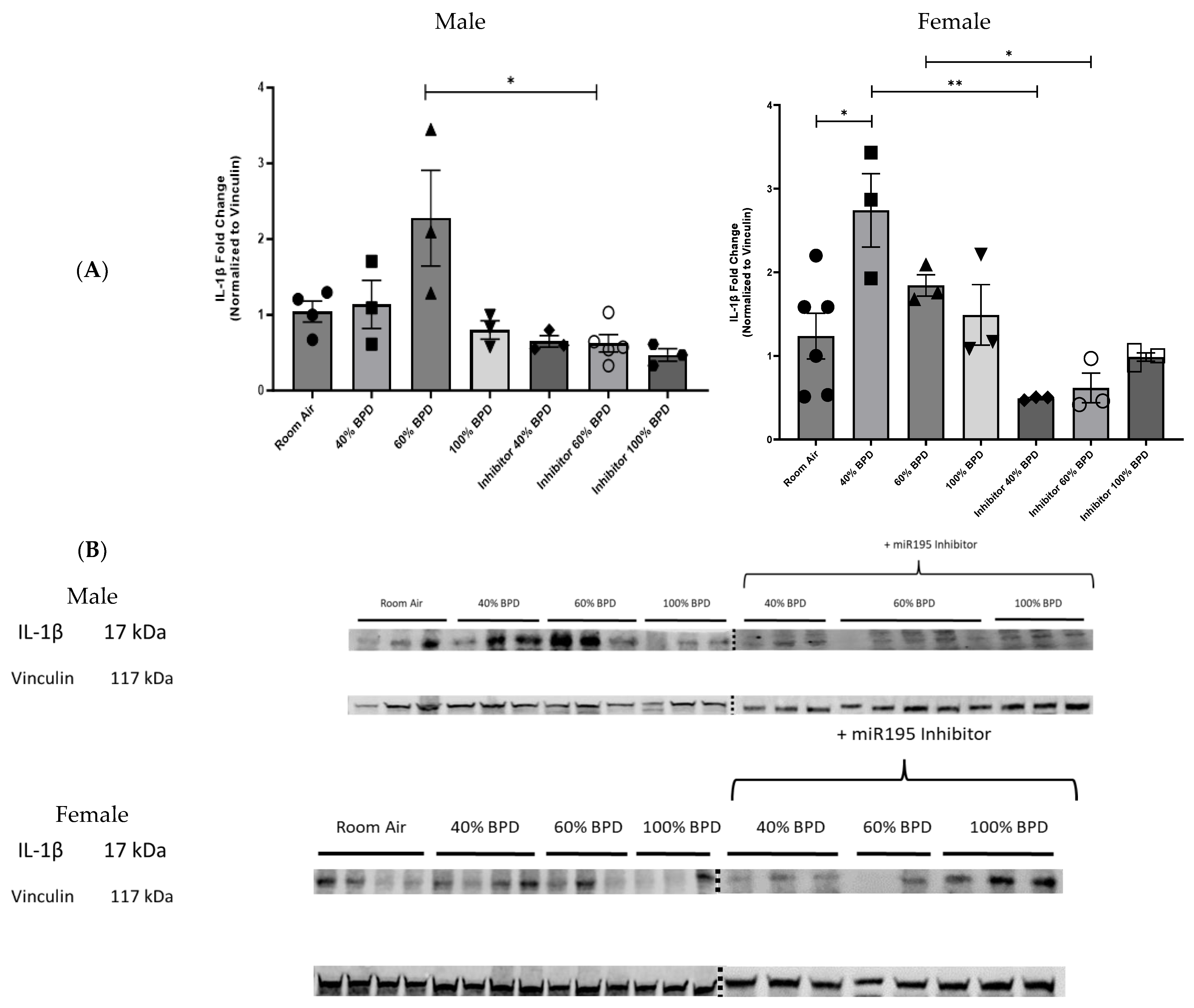 Biomedicines 12 01208 g005