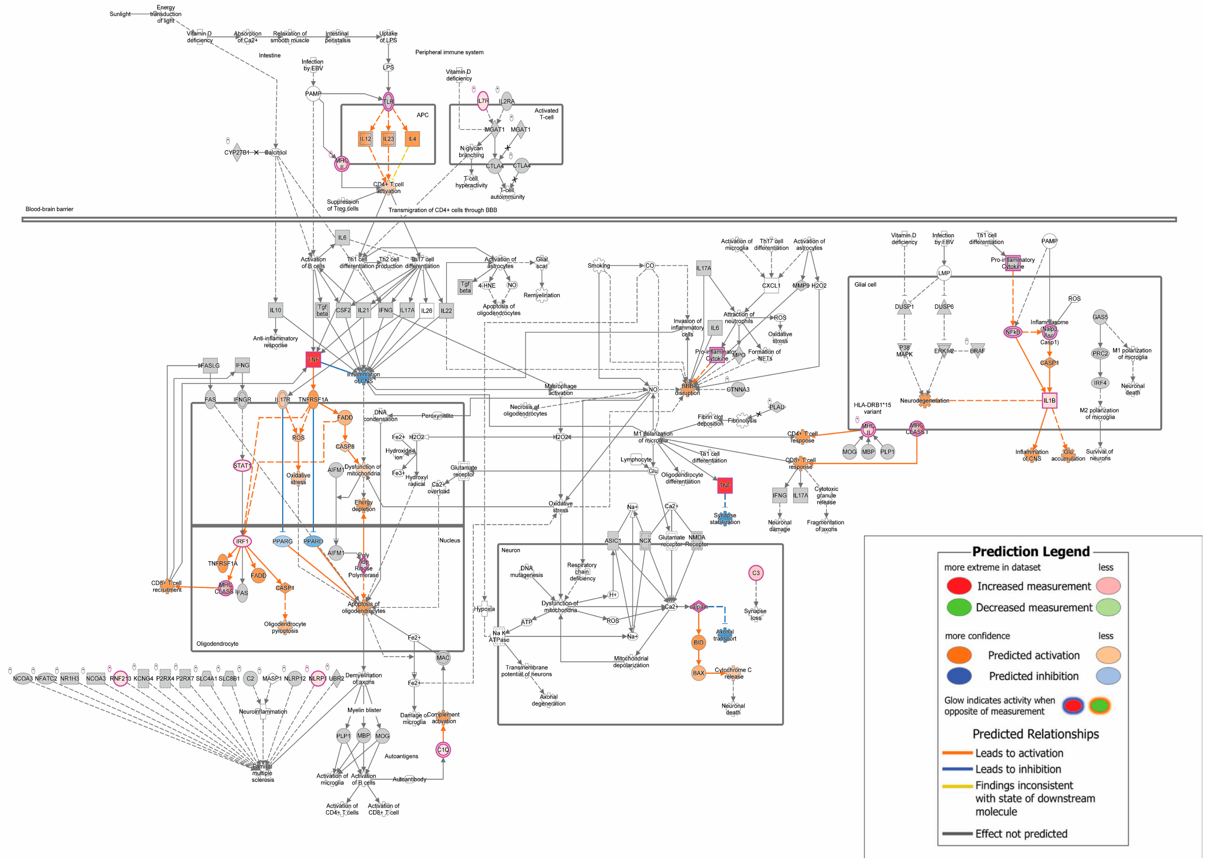 Biomedicines 12 01215 g002