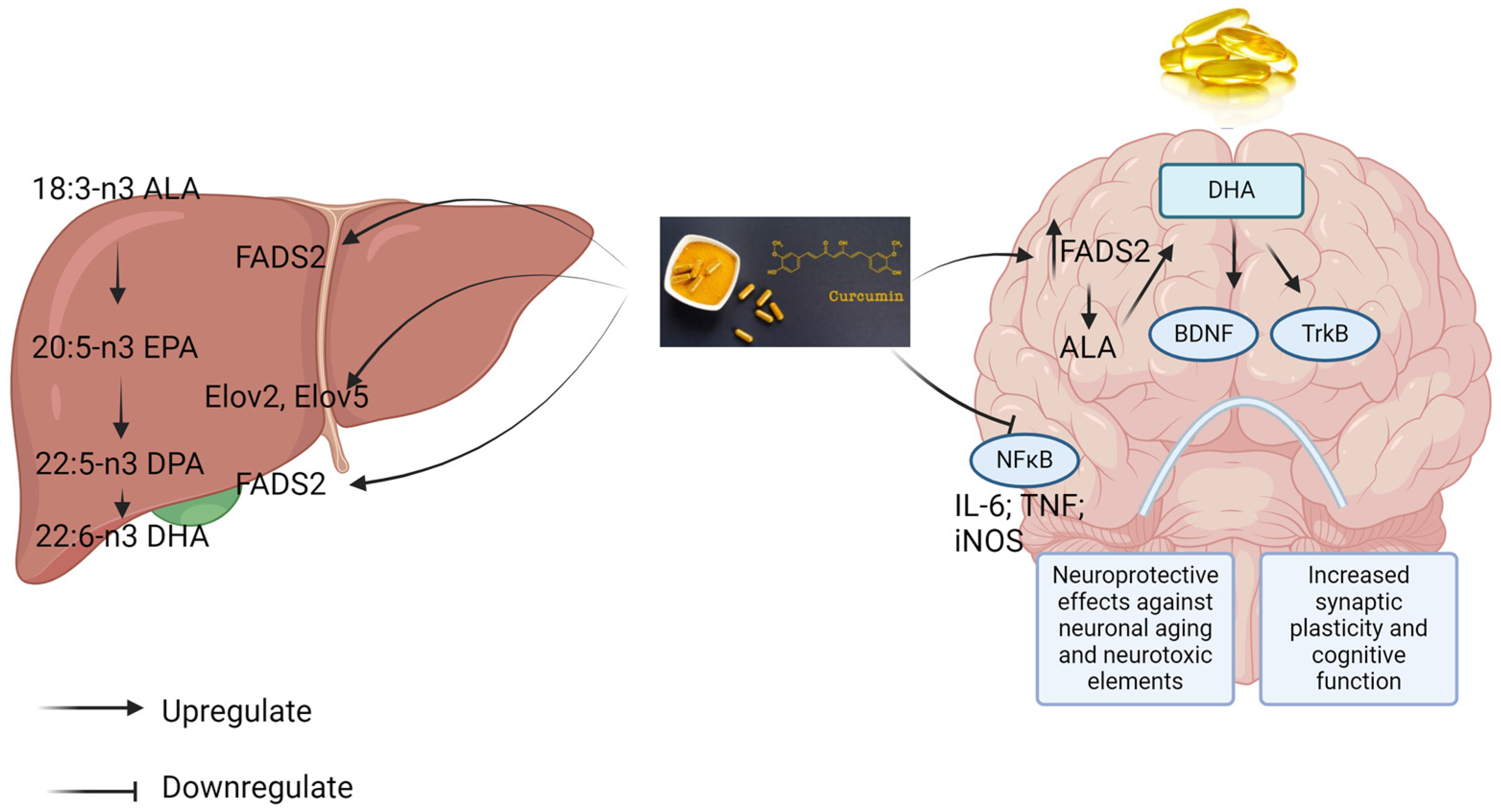 Biomedicines 12 01237 g002
