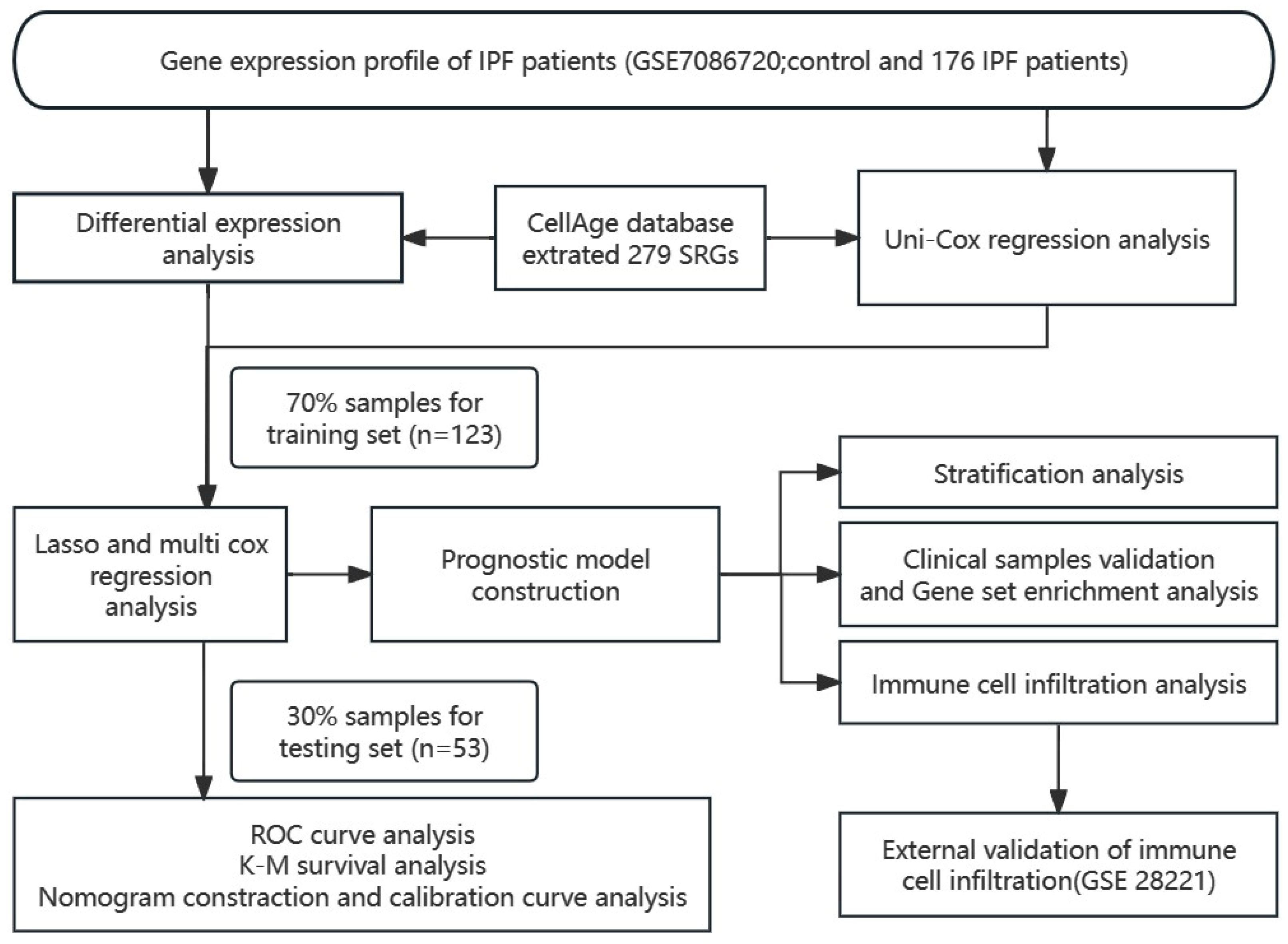 Biomedicines 12 01246 g001