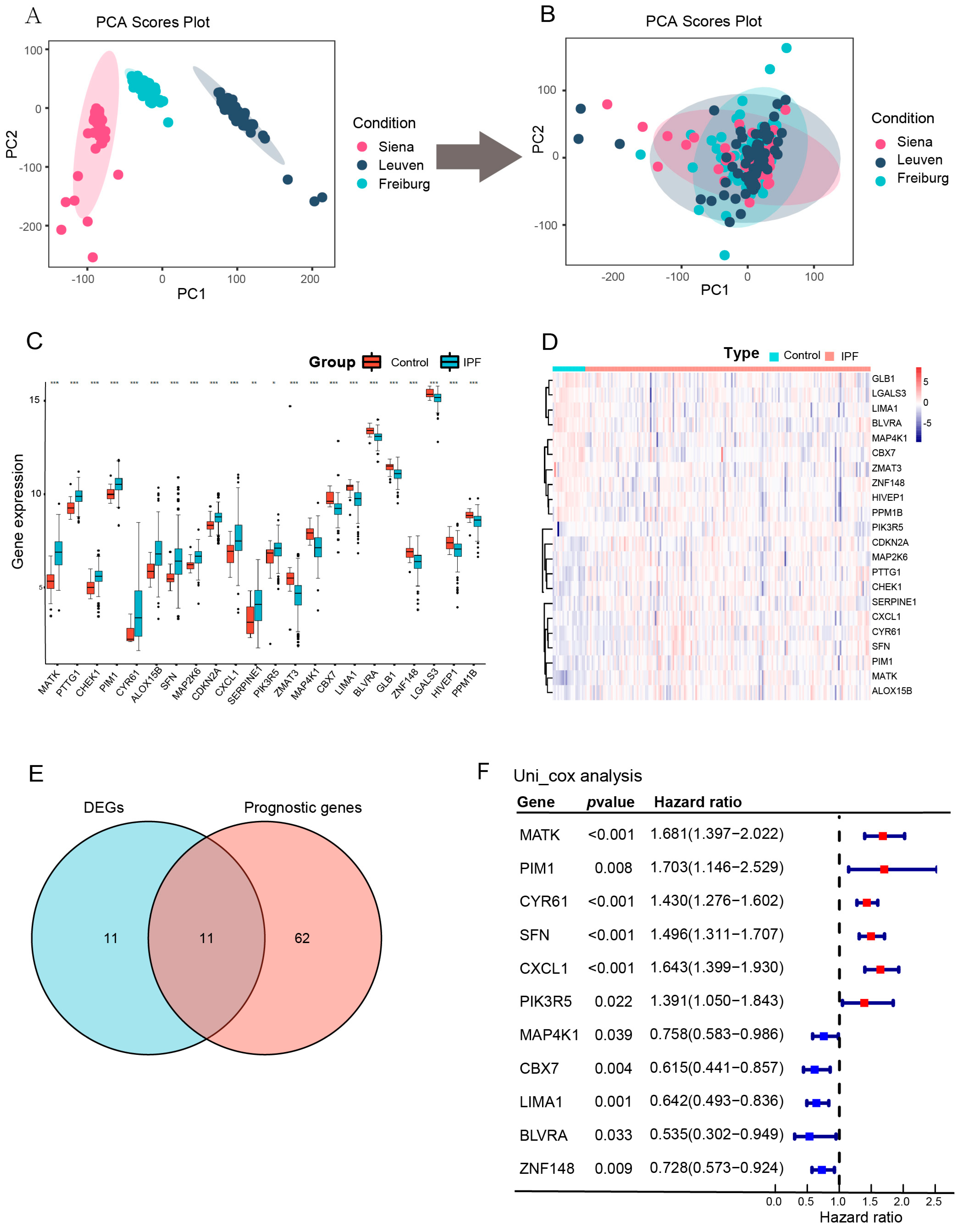 Biomedicines 12 01246 g002