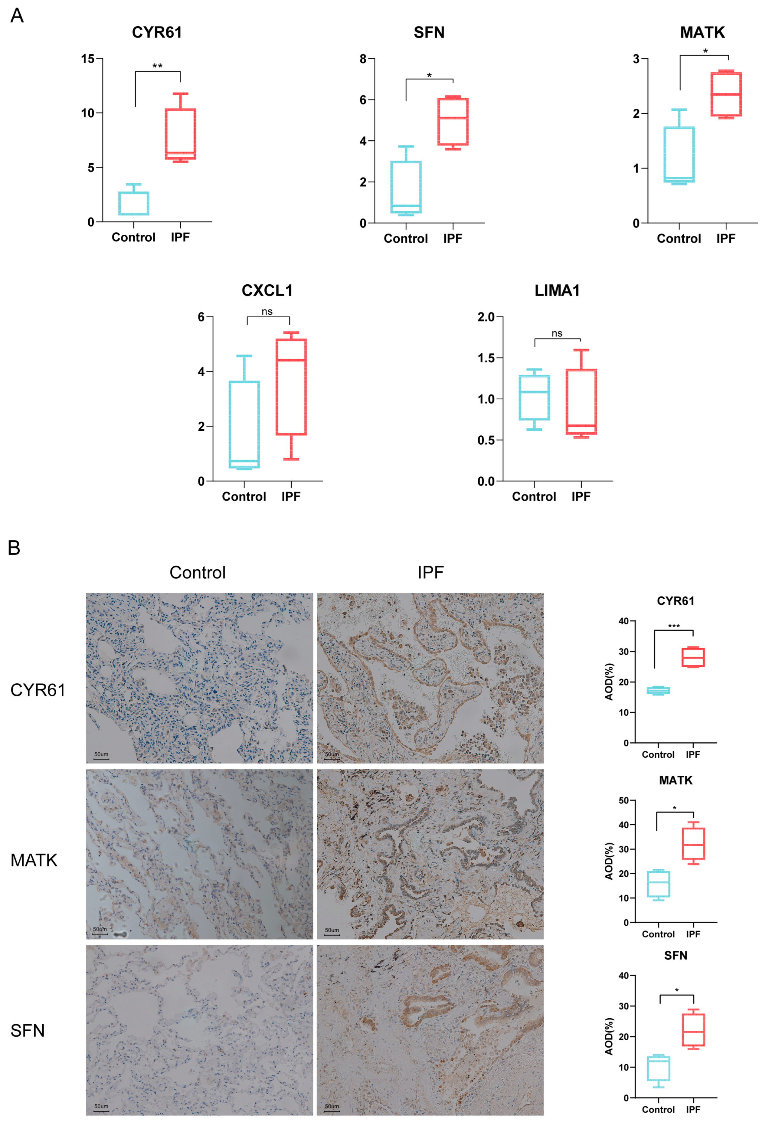 Biomedicines 12 01246 g007