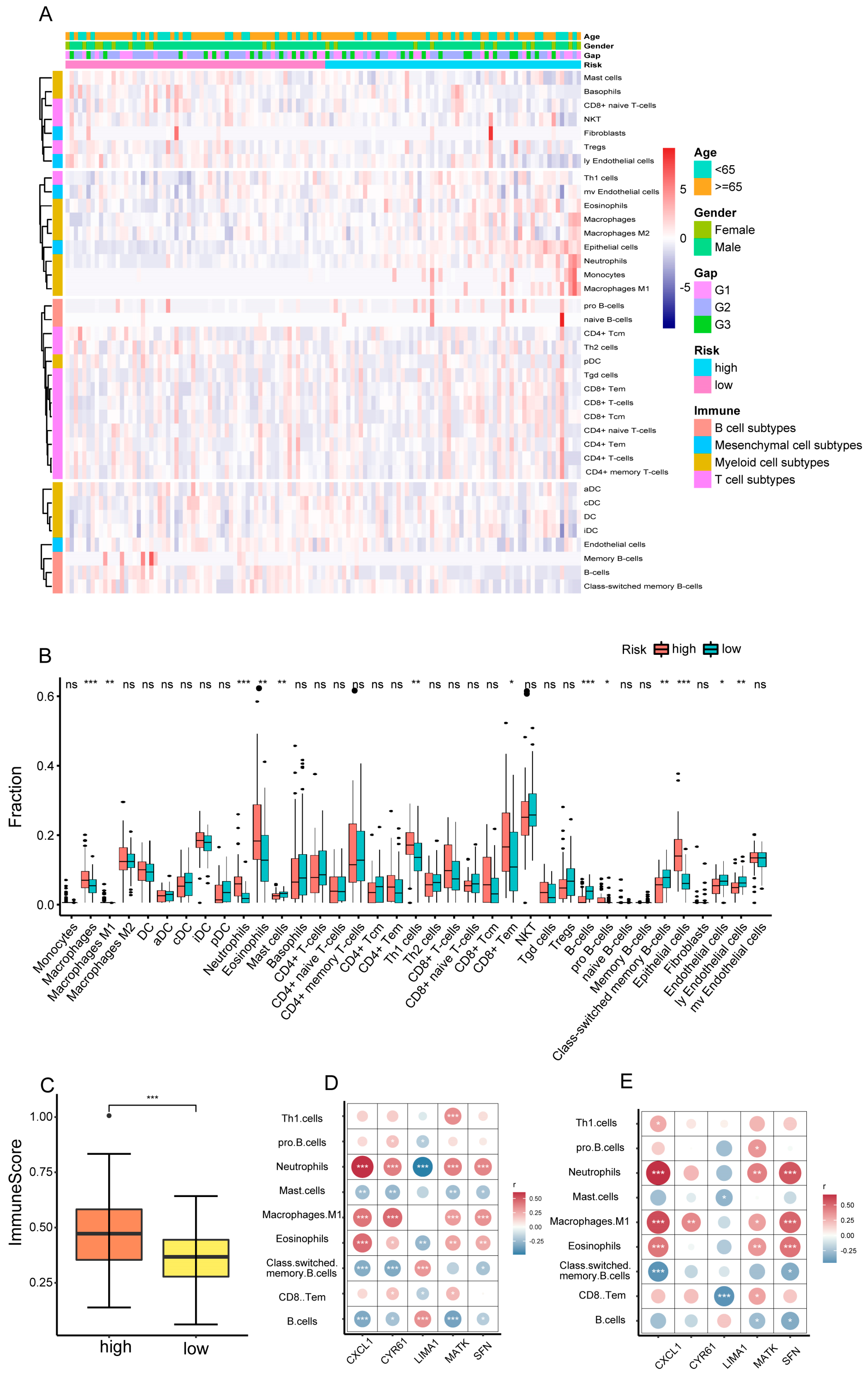 Biomedicines 12 01246 g008