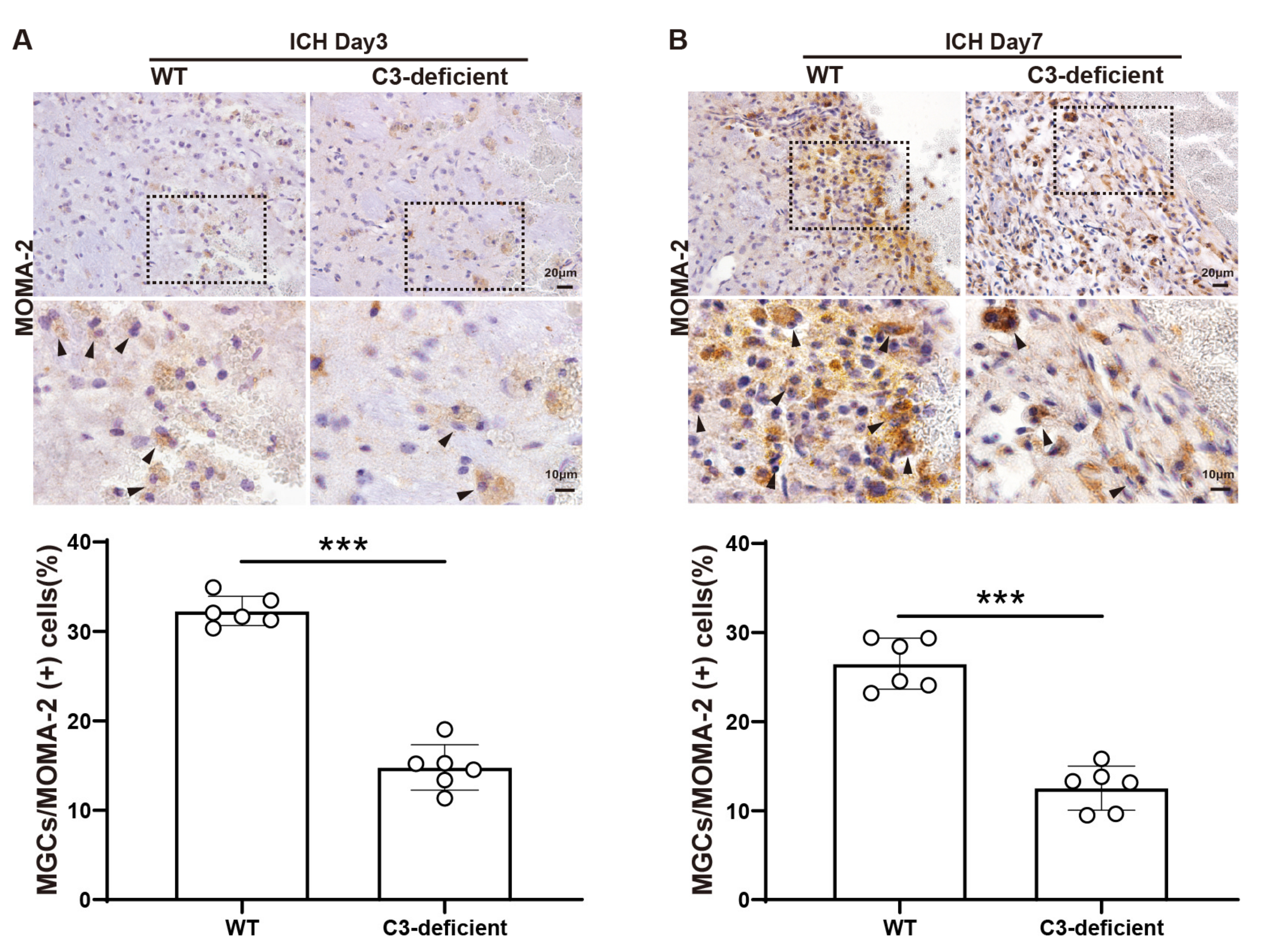 Biomedicines 12 01251 g003