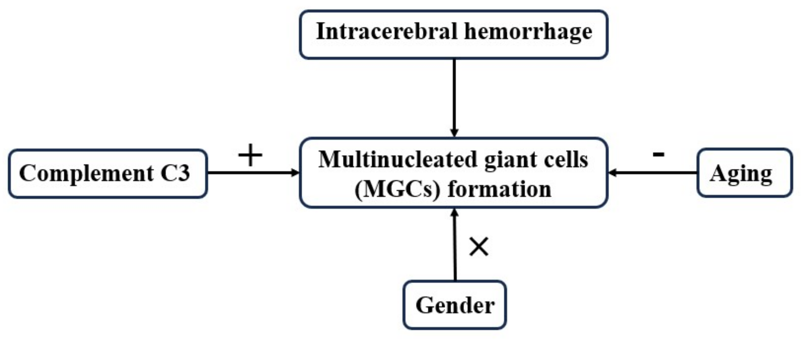 Biomedicines 12 01251 g006